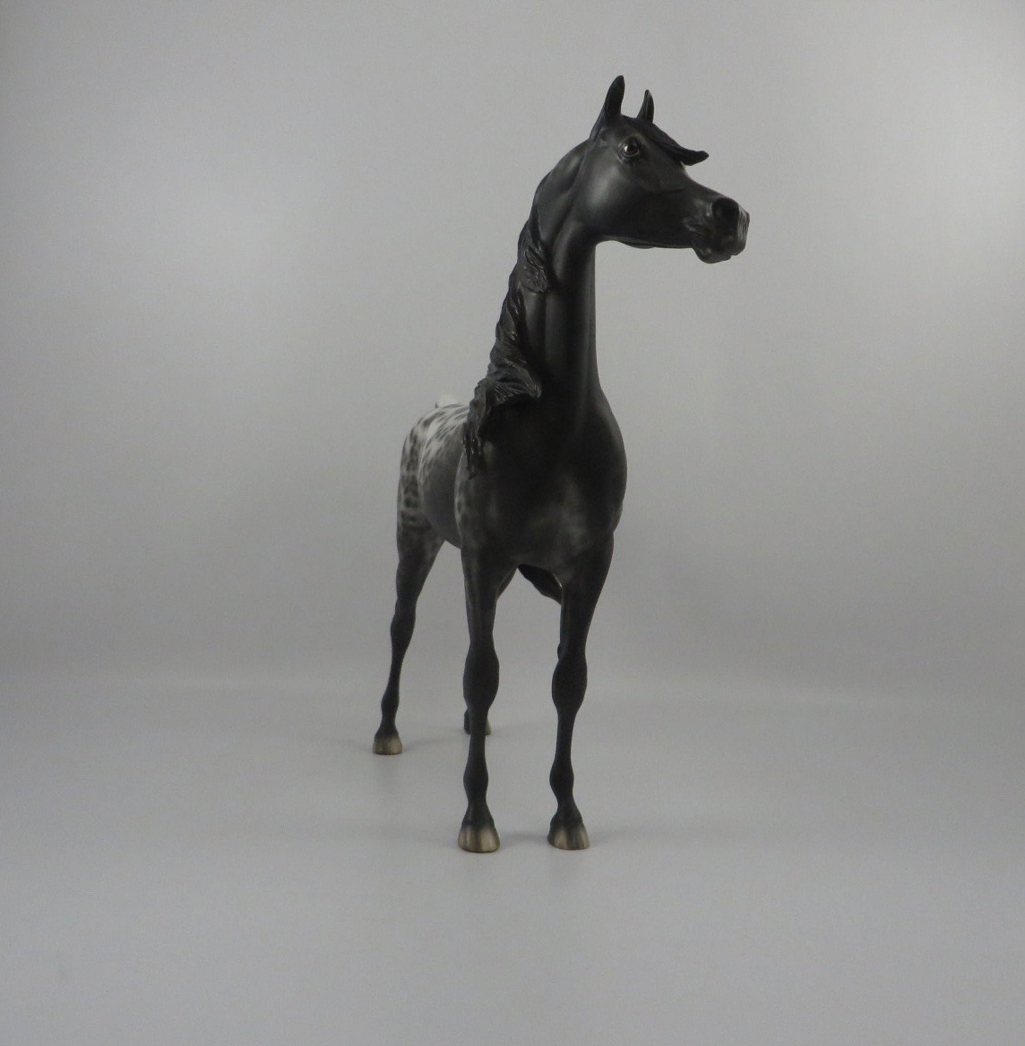 Psychwave-OOAK Loud Appaloosa Painted By Sheryl Leisure   2/25/21