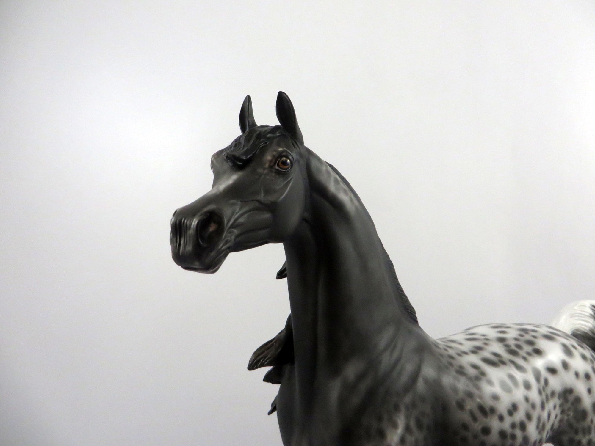 Psychwave-OOAK Loud Appaloosa Painted By Sheryl Leisure   2/25/21