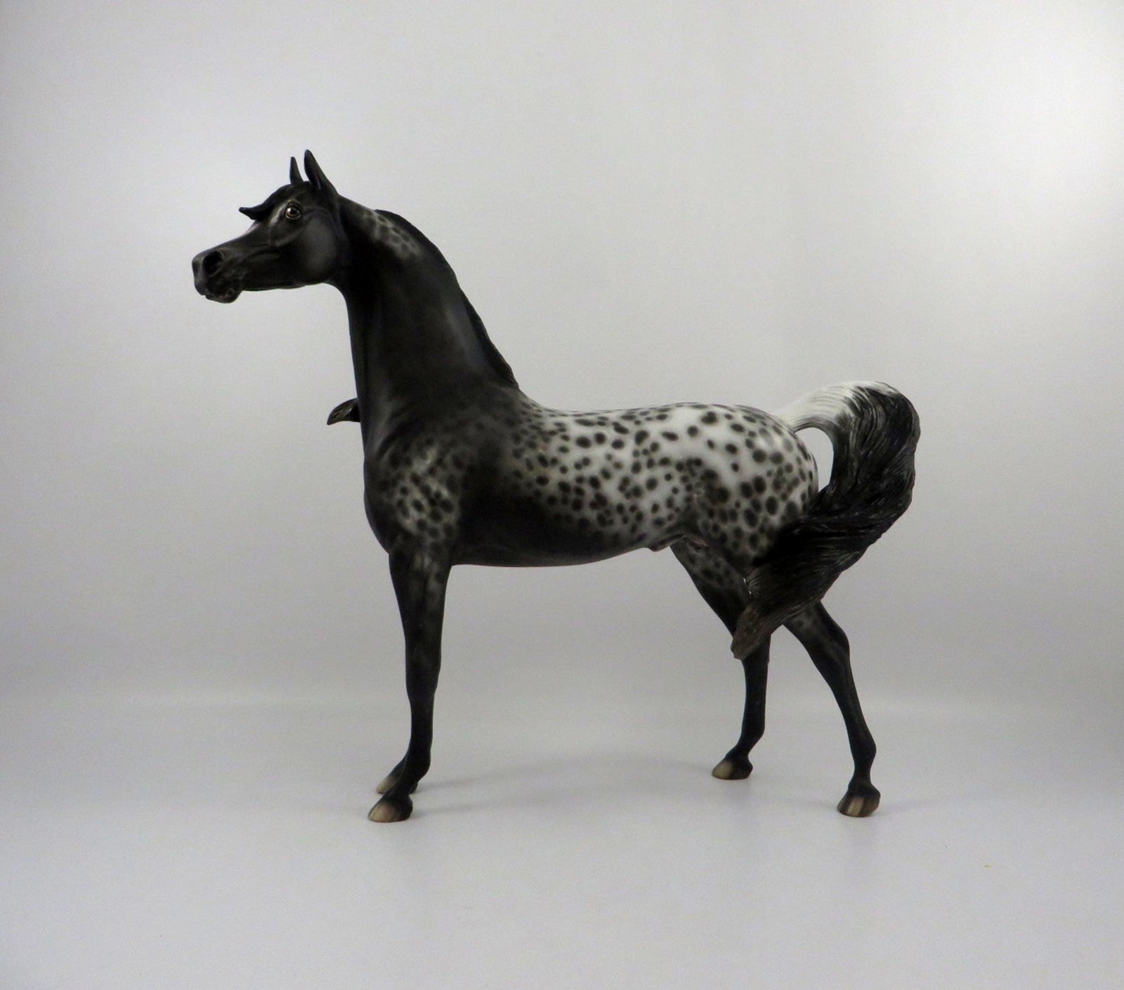 Psychwave-OOAK Loud Appaloosa Painted By Sheryl Leisure   2/25/21