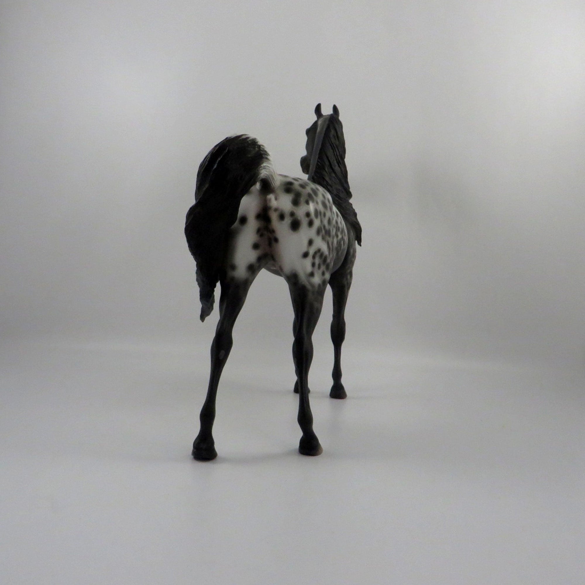 Psychwave-OOAK Loud Appaloosa Painted By Sheryl Leisure   2/25/21