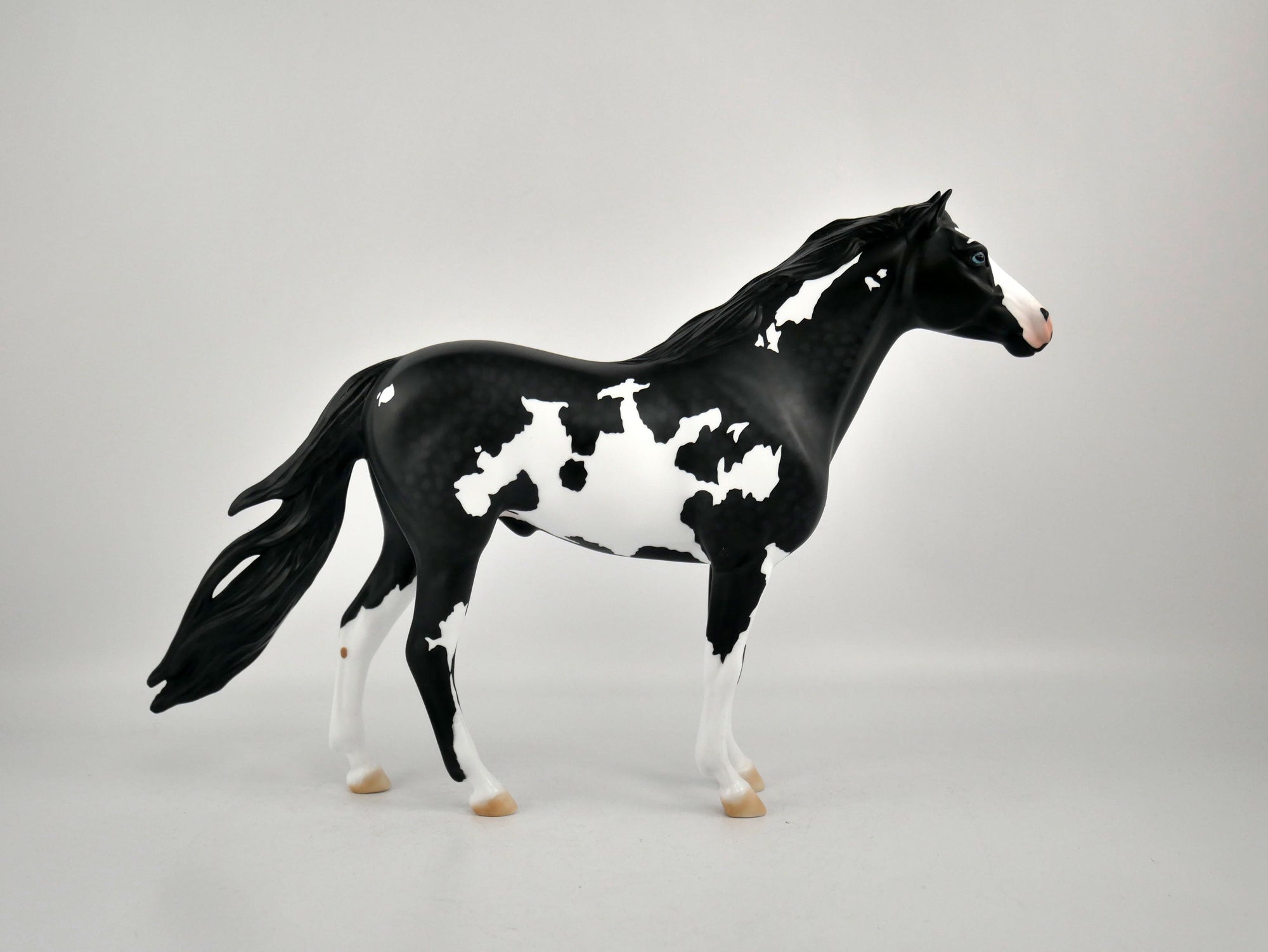 PUFFIN-OOAK BLACK TOVERO MUSTANG BY ELLEN ROBBINS 12/09/20