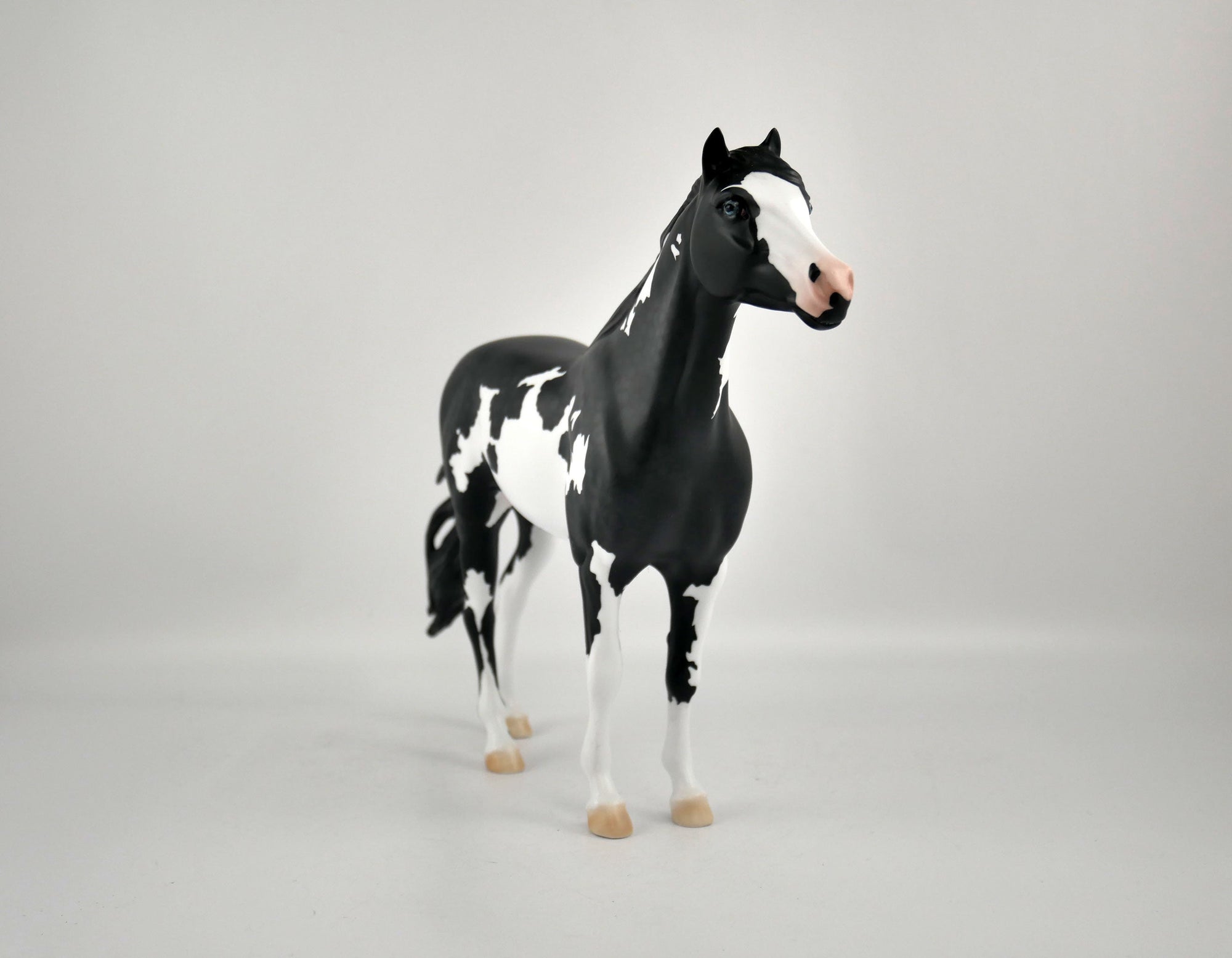 PUFFIN-OOAK BLACK TOVERO MUSTANG BY ELLEN ROBBINS 12/09/20