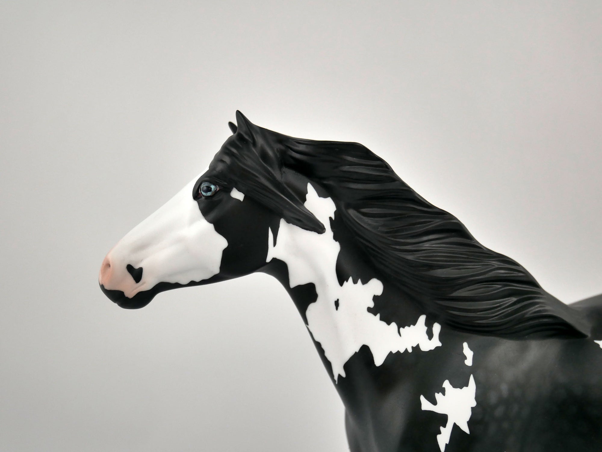 PUFFIN-OOAK BLACK TOVERO MUSTANG BY ELLEN ROBBINS 12/09/20