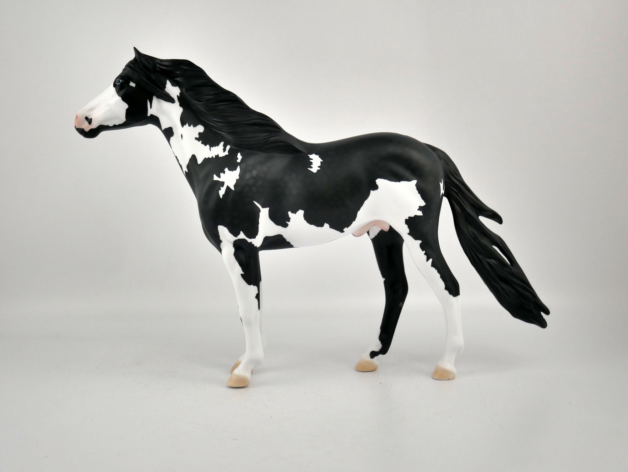 PUFFIN-OOAK BLACK TOVERO MUSTANG BY ELLEN ROBBINS 12/09/20