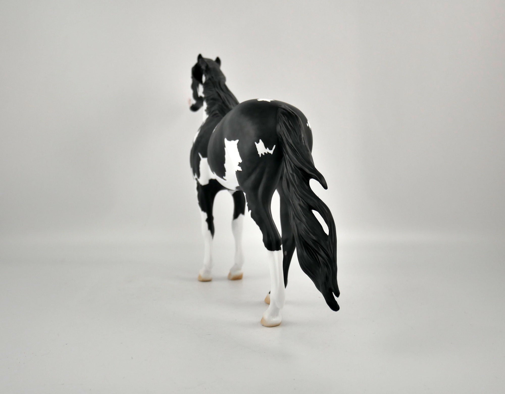 PUFFIN-OOAK BLACK TOVERO MUSTANG BY ELLEN ROBBINS 12/09/20
