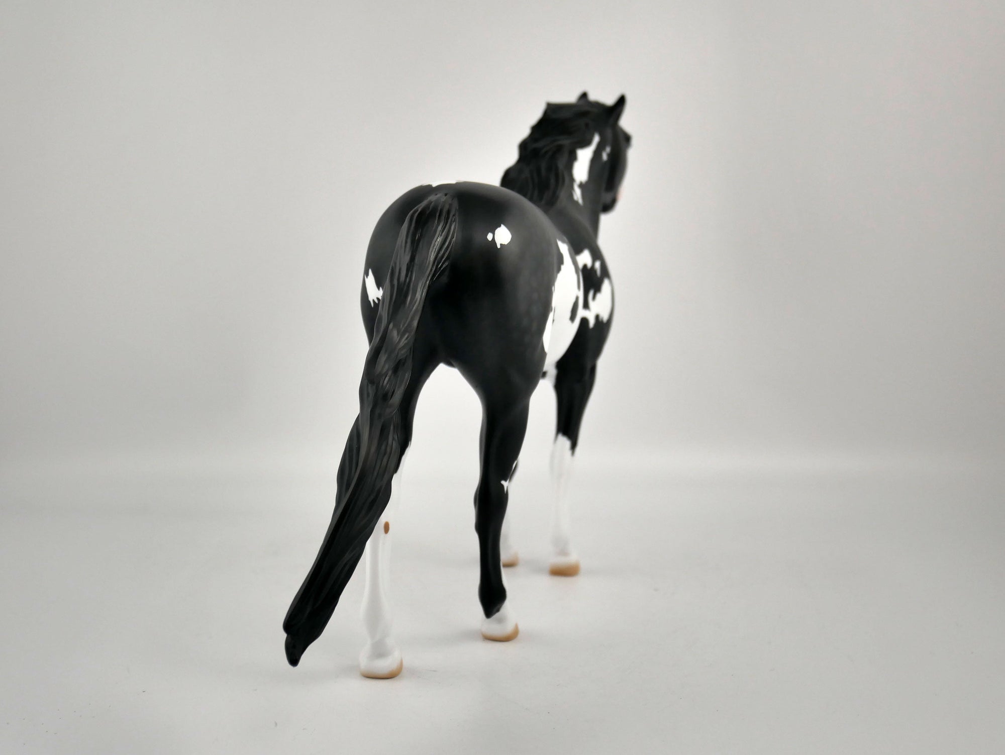 PUFFIN-OOAK BLACK TOVERO MUSTANG BY ELLEN ROBBINS 12/09/20