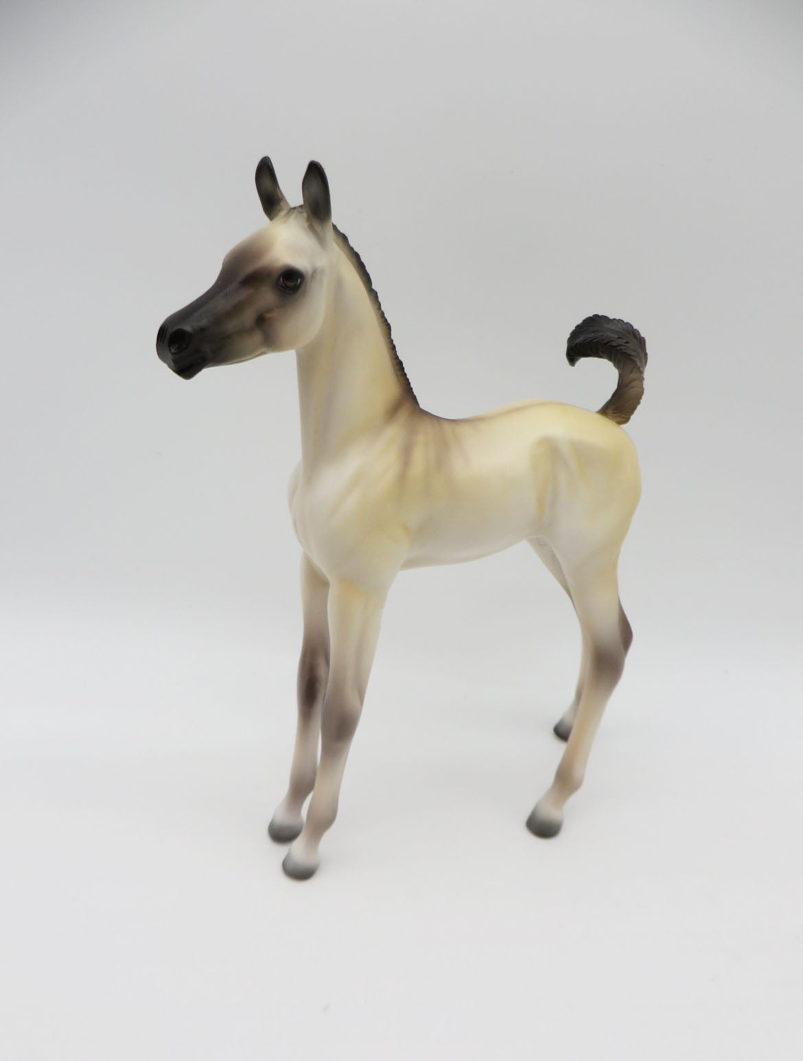 Pugsly - LE-15 "PUG" Arabian Foal by Ellen Robbins P&C 23