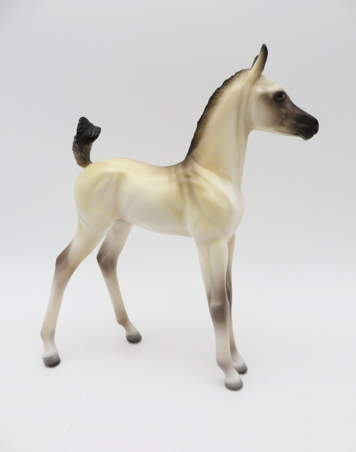 Pugsly - LE-15 &quot;PUG&quot; Arabian Foal by Ellen Robbins P&amp;C 23