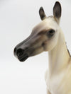 Pugsly - LE-15 &quot;PUG&quot; Arabian Foal by Ellen Robbins P&amp;C 23