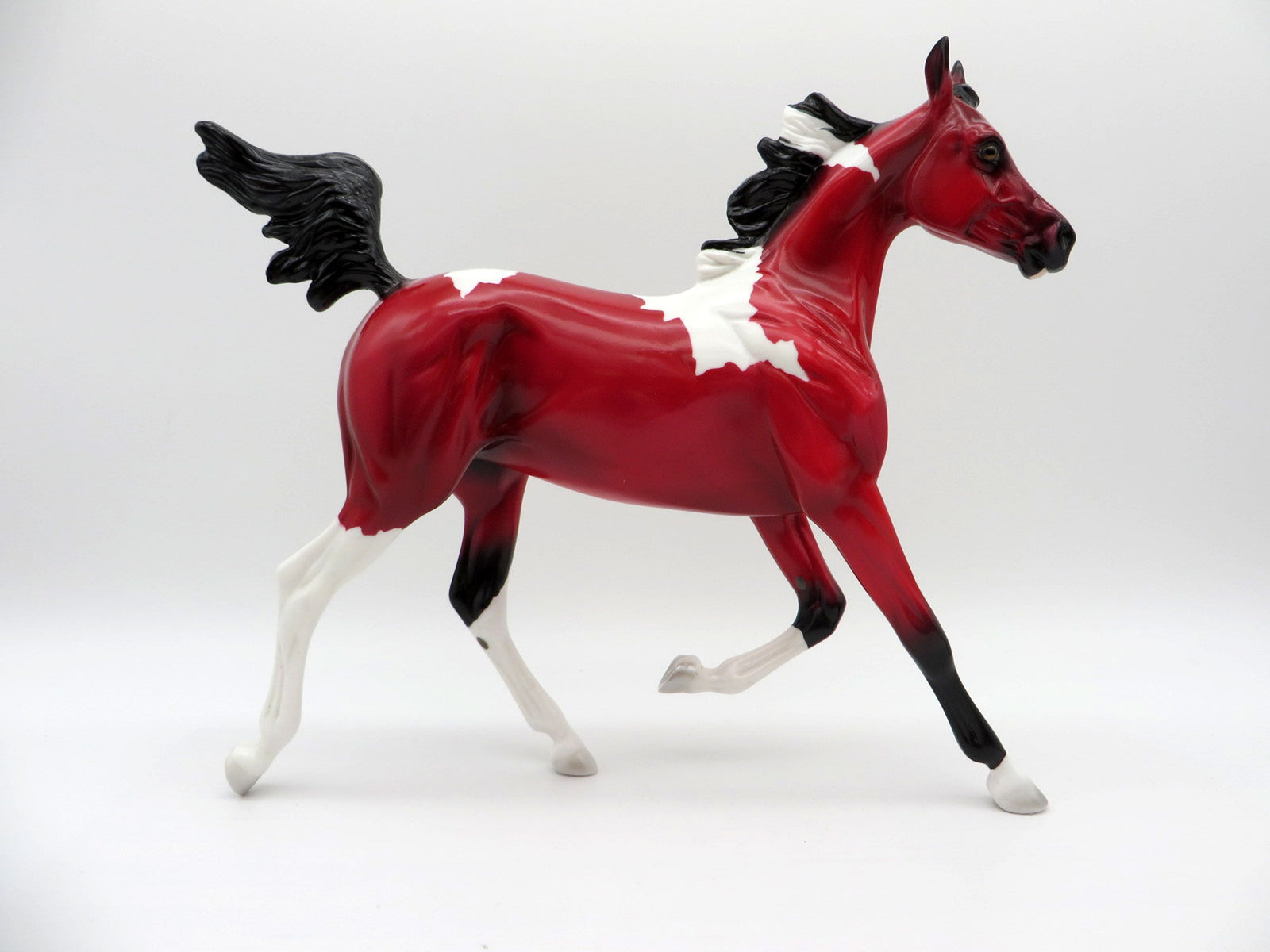 Pula Nga-OOAK Yearling Precious Stone  Painted By Ellen Robbins EQ 2021