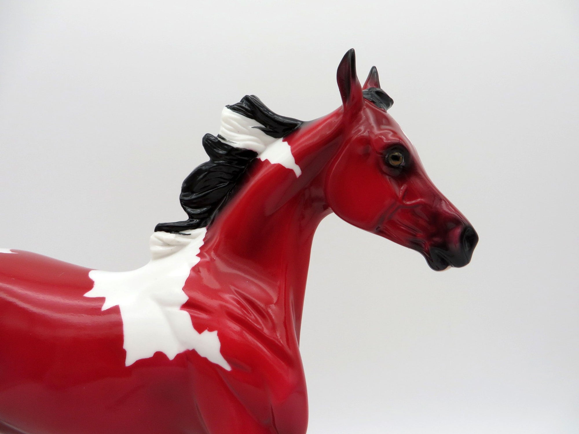 Pula Nga-OOAK Yearling Precious Stone  Painted By Ellen Robbins EQ 2021