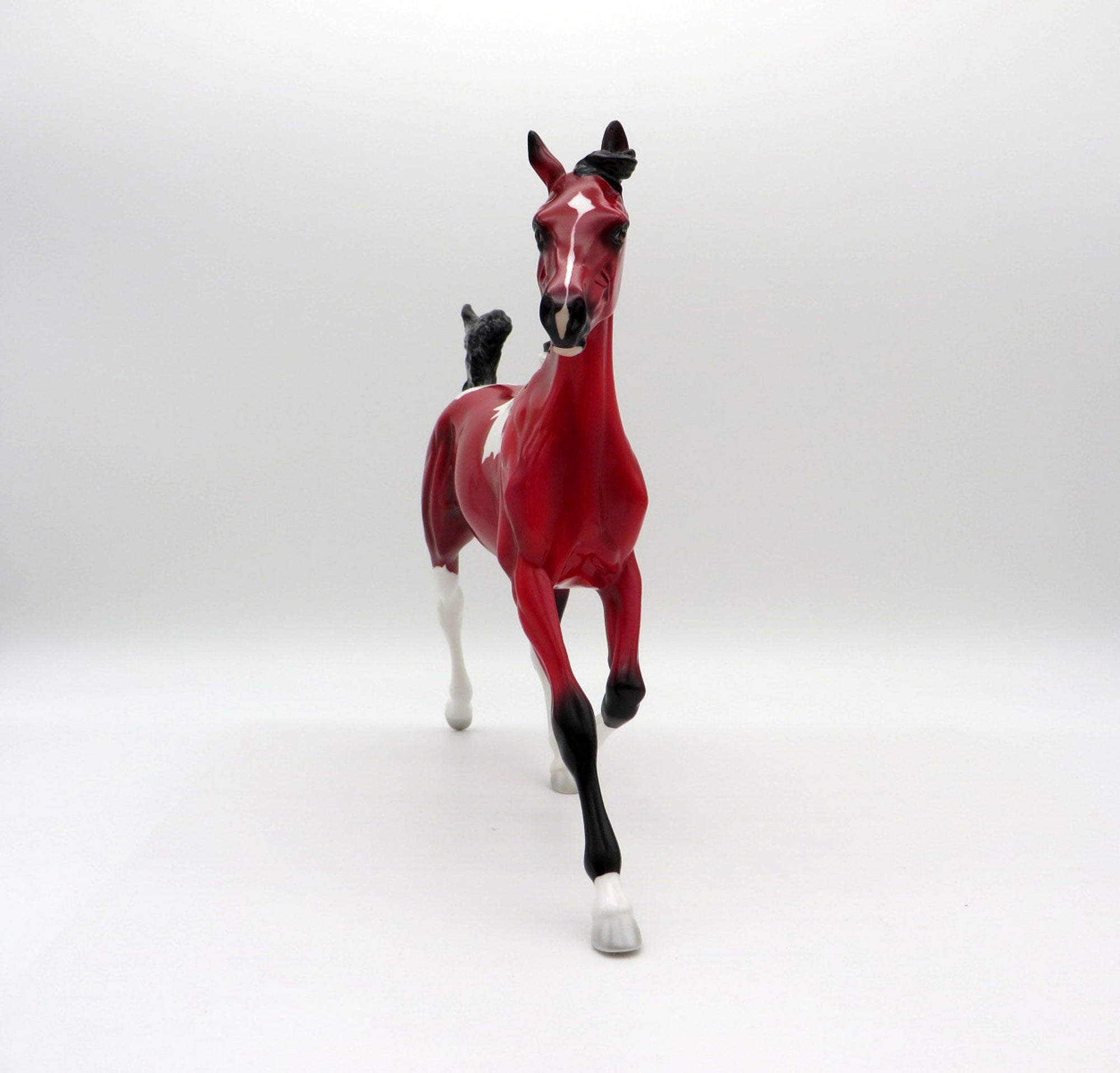 Pula Nga-OOAK Yearling Precious Stone  Painted By Ellen Robbins EQ 2021