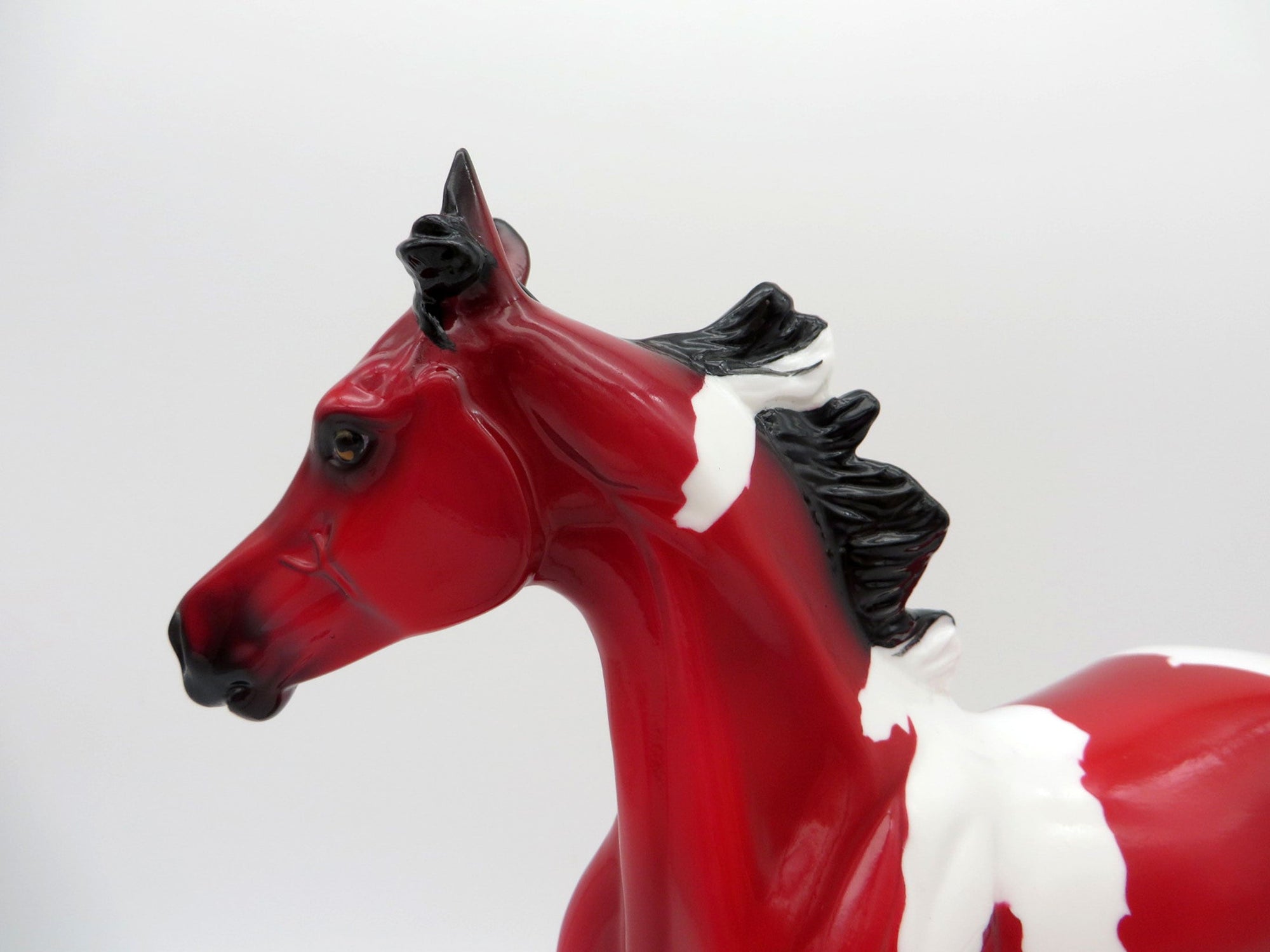 Pula Nga-OOAK Yearling Precious Stone  Painted By Ellen Robbins EQ 2021