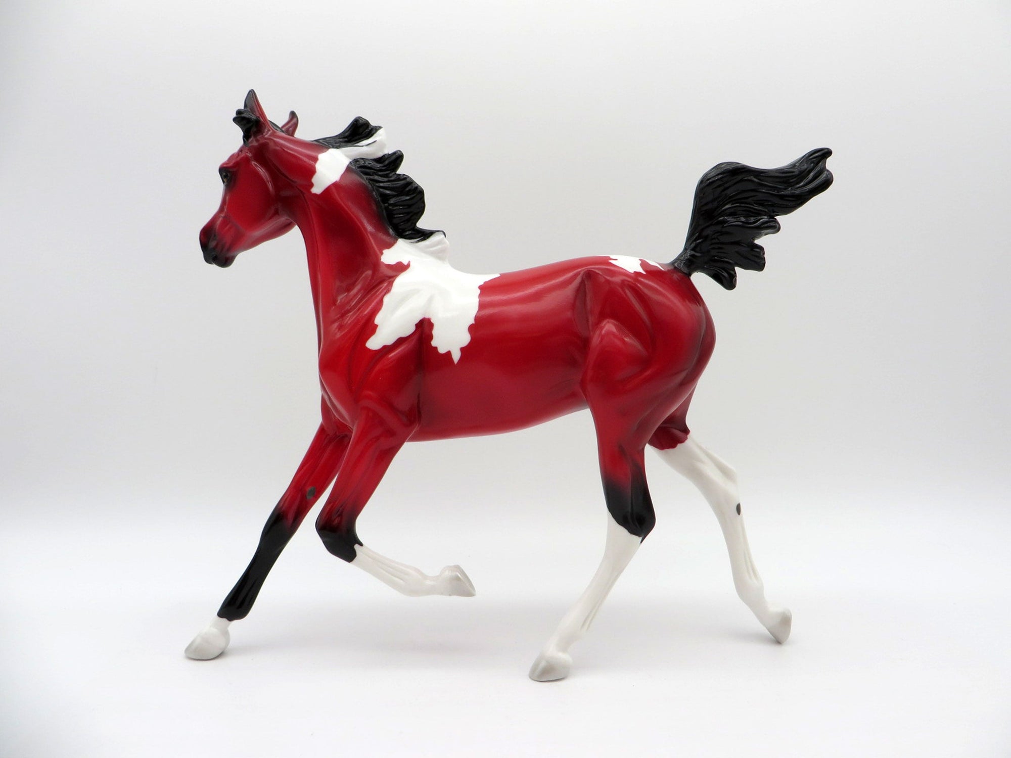 Pula Nga-OOAK Yearling Precious Stone  Painted By Ellen Robbins EQ 2021