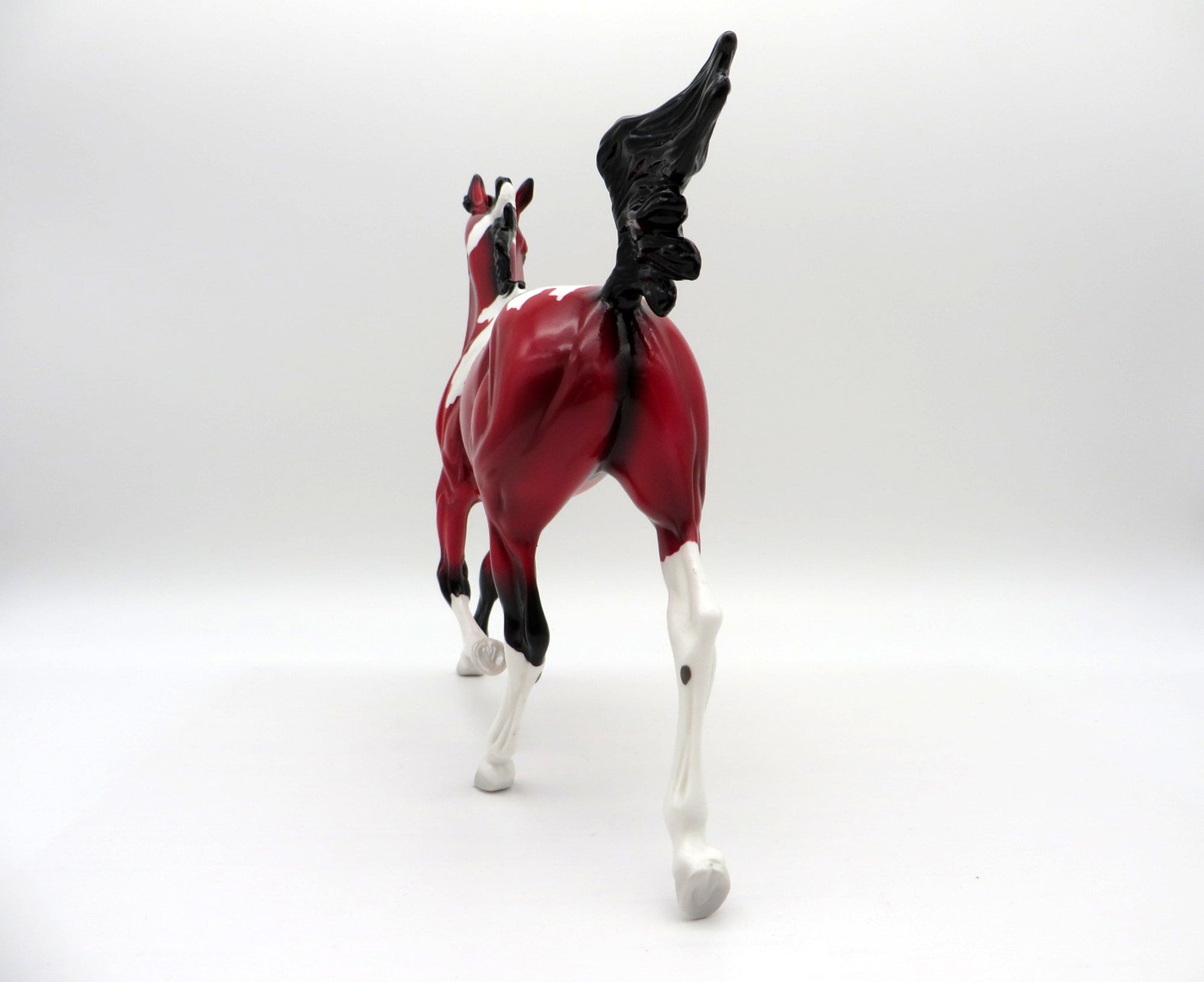 Pula Nga-OOAK Yearling Precious Stone  Painted By Ellen Robbins EQ 2021