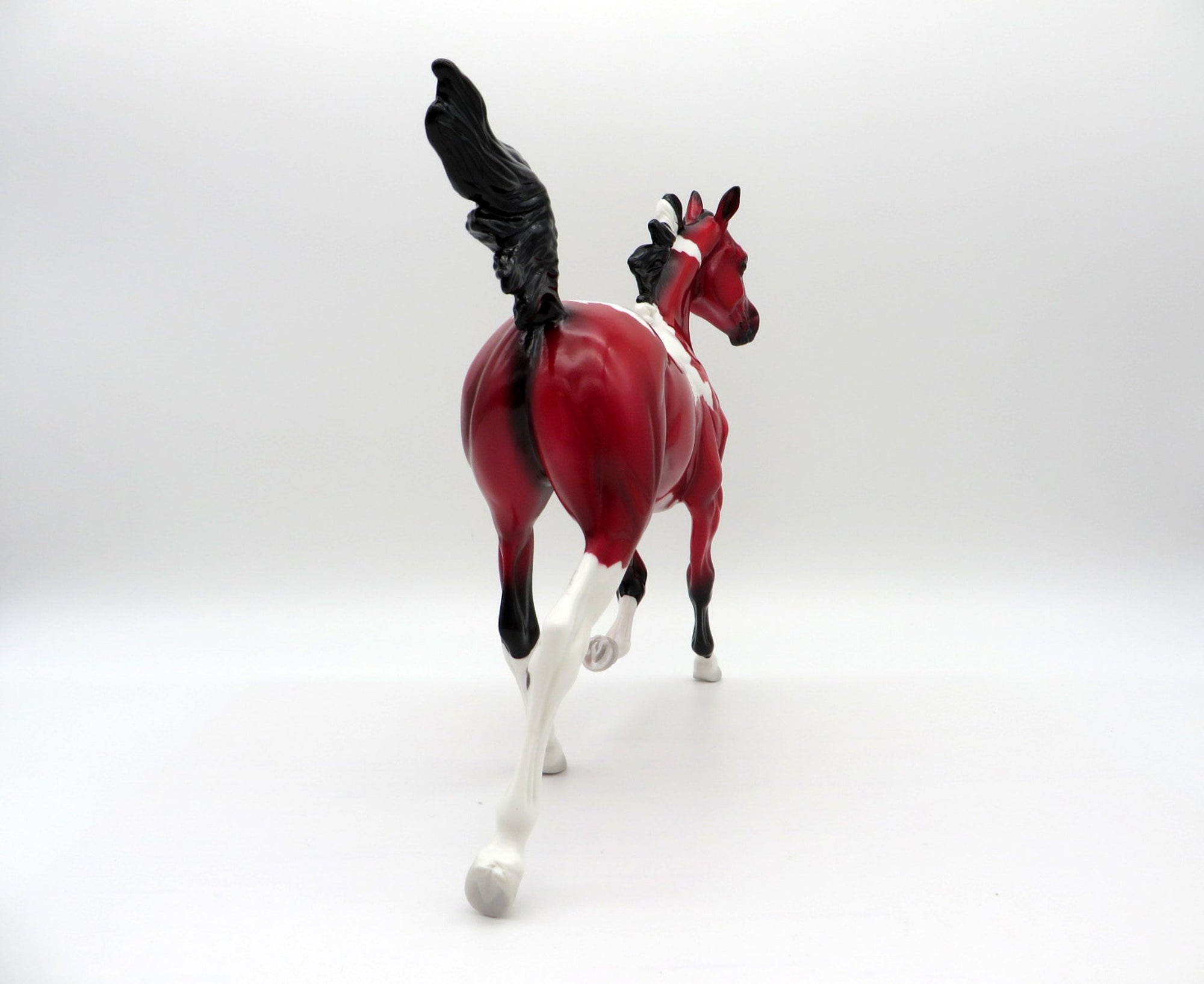 Pula Nga-OOAK Yearling Precious Stone  Painted By Ellen Robbins EQ 2021