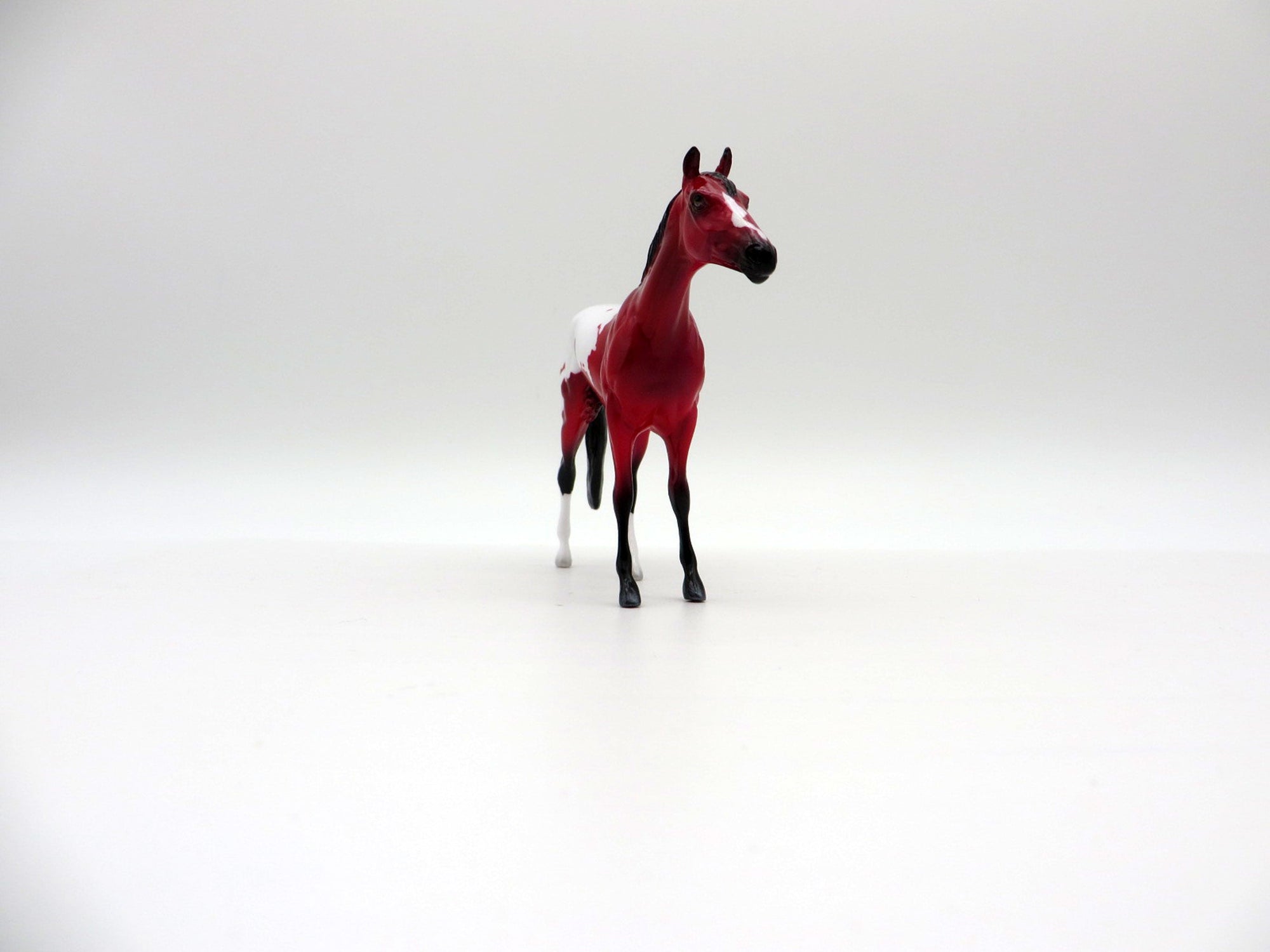 Pula-TB-OOAK Chip Precious Stone Painted By Ellen Robbins EQ 2021