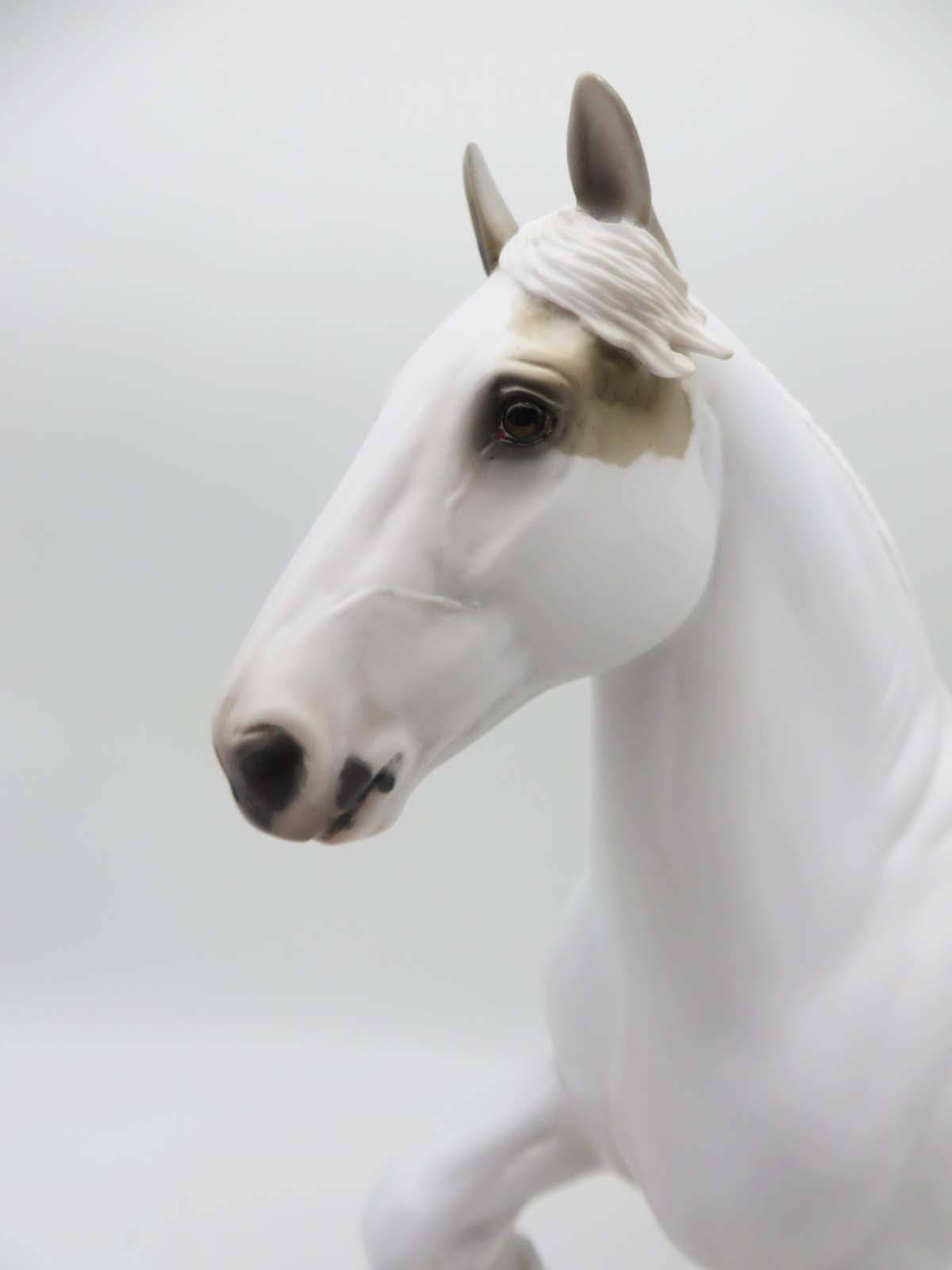 Pyr - OOAK - Palomino Trotting Drafter By Jess Hamill - P&amp;C 23