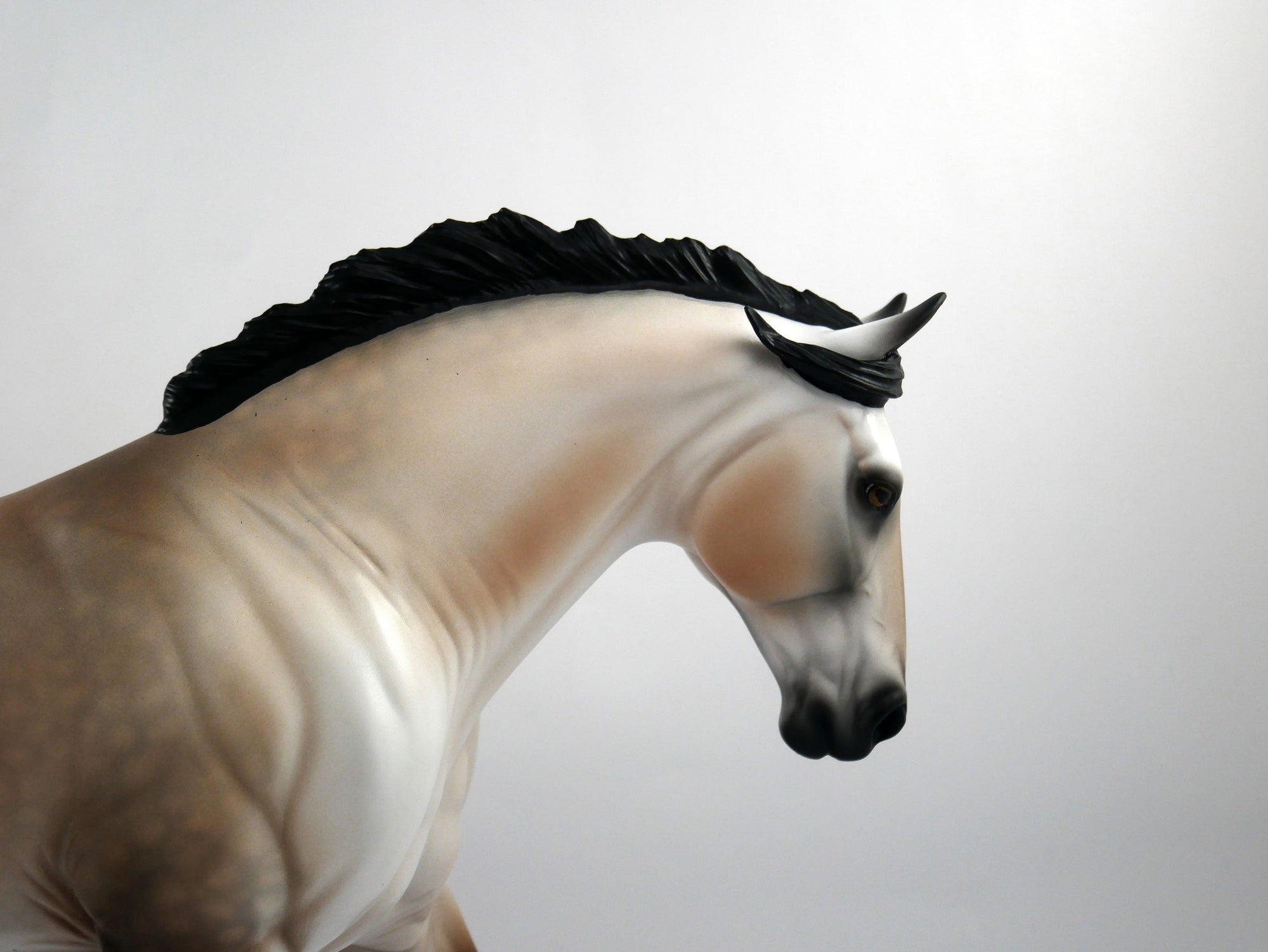 QUARTERBACK DANCE-OOAKBAY GOING GREY IRISH DRAFT SB 21