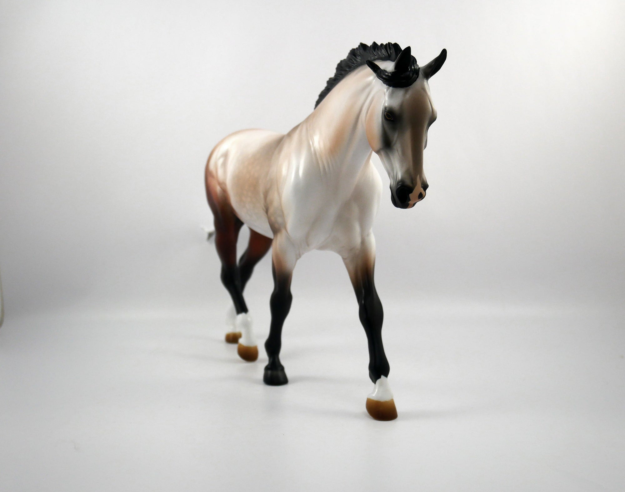 QUARTERBACK DANCE-OOAKBAY GOING GREY IRISH DRAFT SB 21