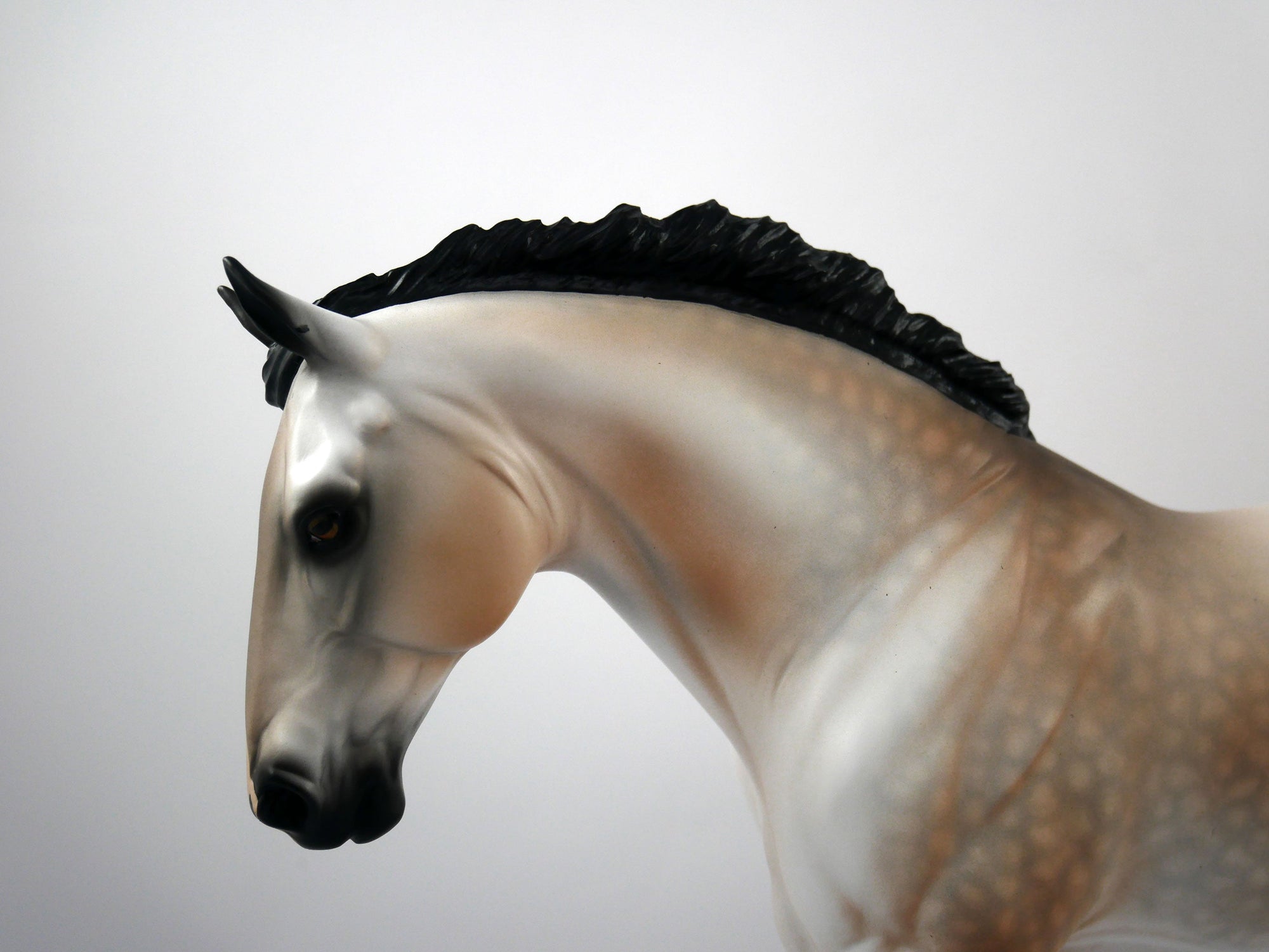 QUARTERBACK DANCE-OOAKBAY GOING GREY IRISH DRAFT SB 21