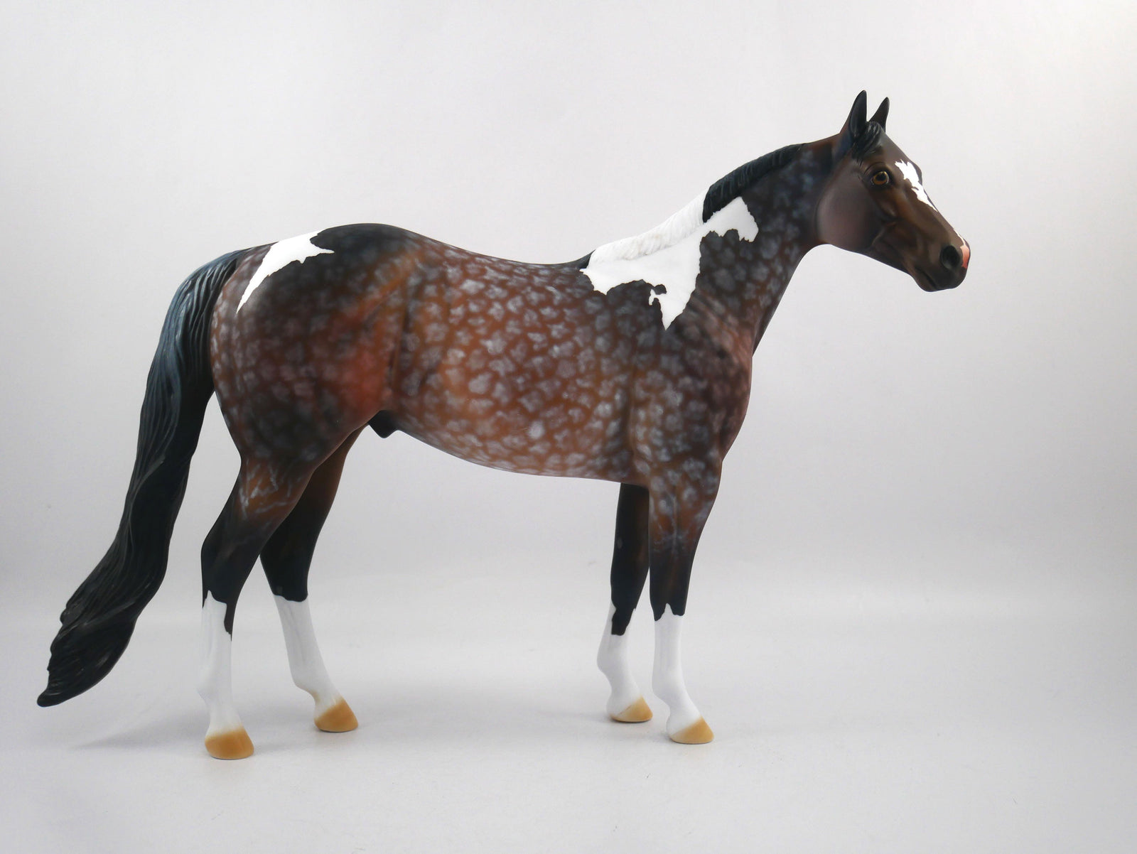 Quarterback Sack-OOAK Star Dapple Bay Paint ISH SB 21