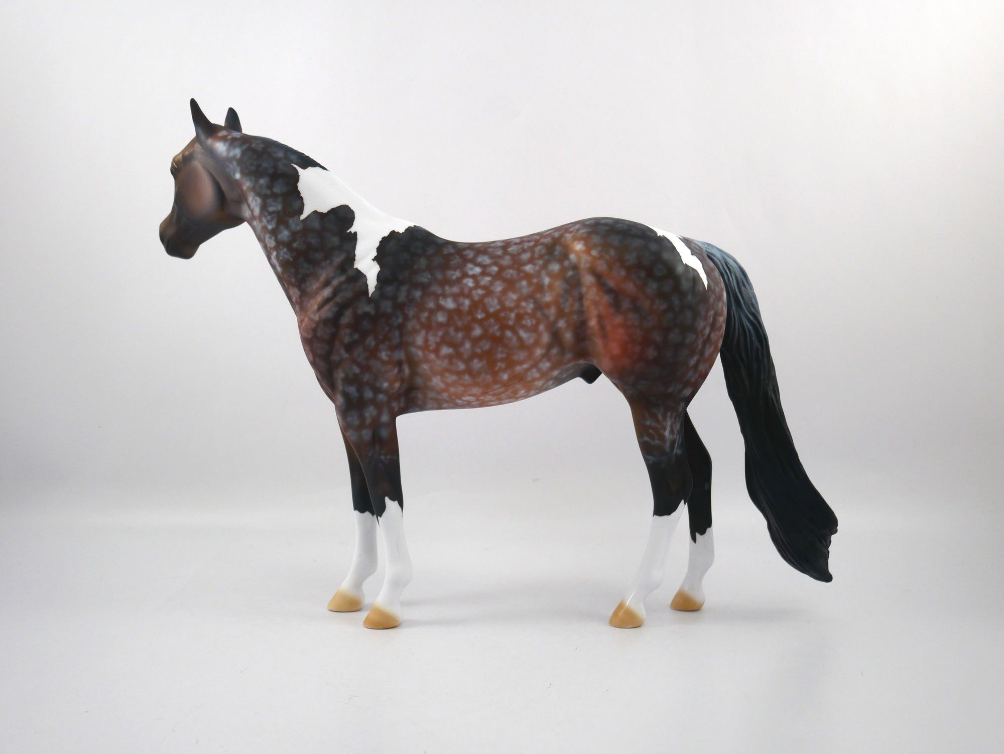 Quarterback Sack-OOAK Star Dapple Bay Paint ISH SB 21