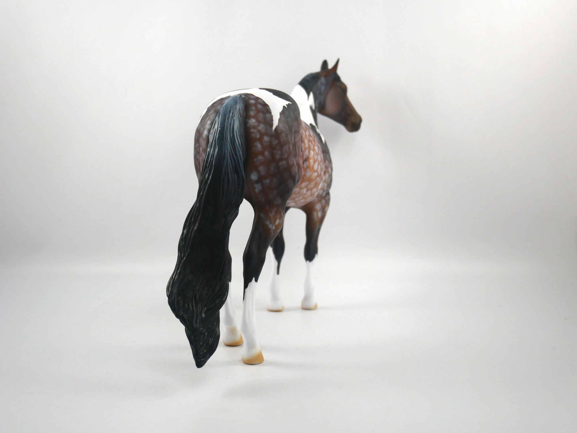 Quarterback Sack-OOAK Star Dapple Bay Paint ISH SB 21