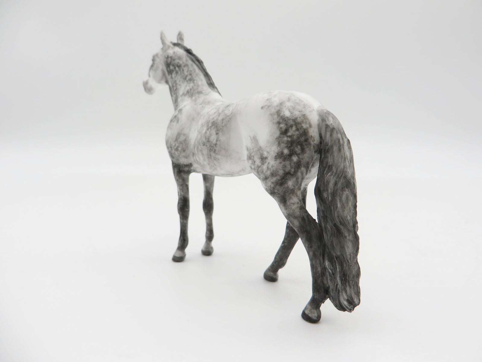RAINIER - OOAK Dapple Grey Andalusian Chip LHS 22