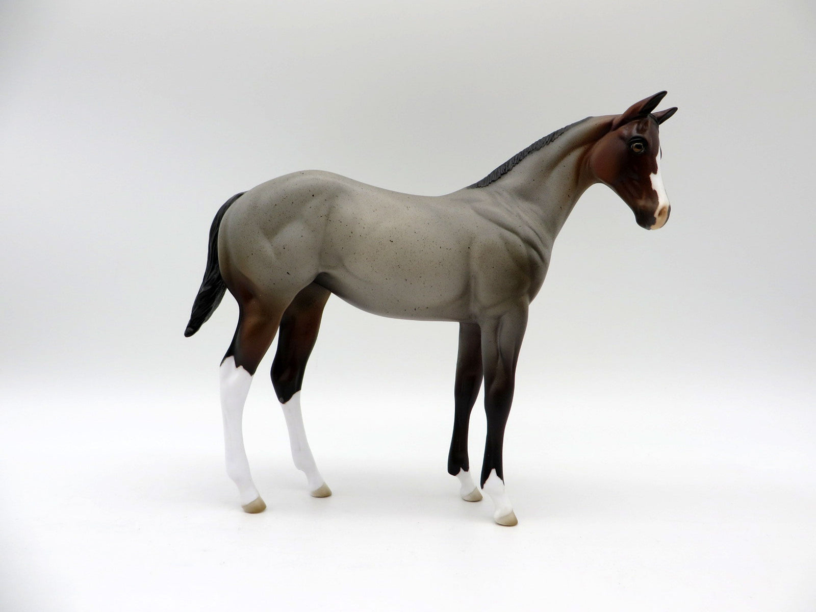 Raichu-OOAK Bay Roan Weanling Painted By Ellen Robbins 5/14/21