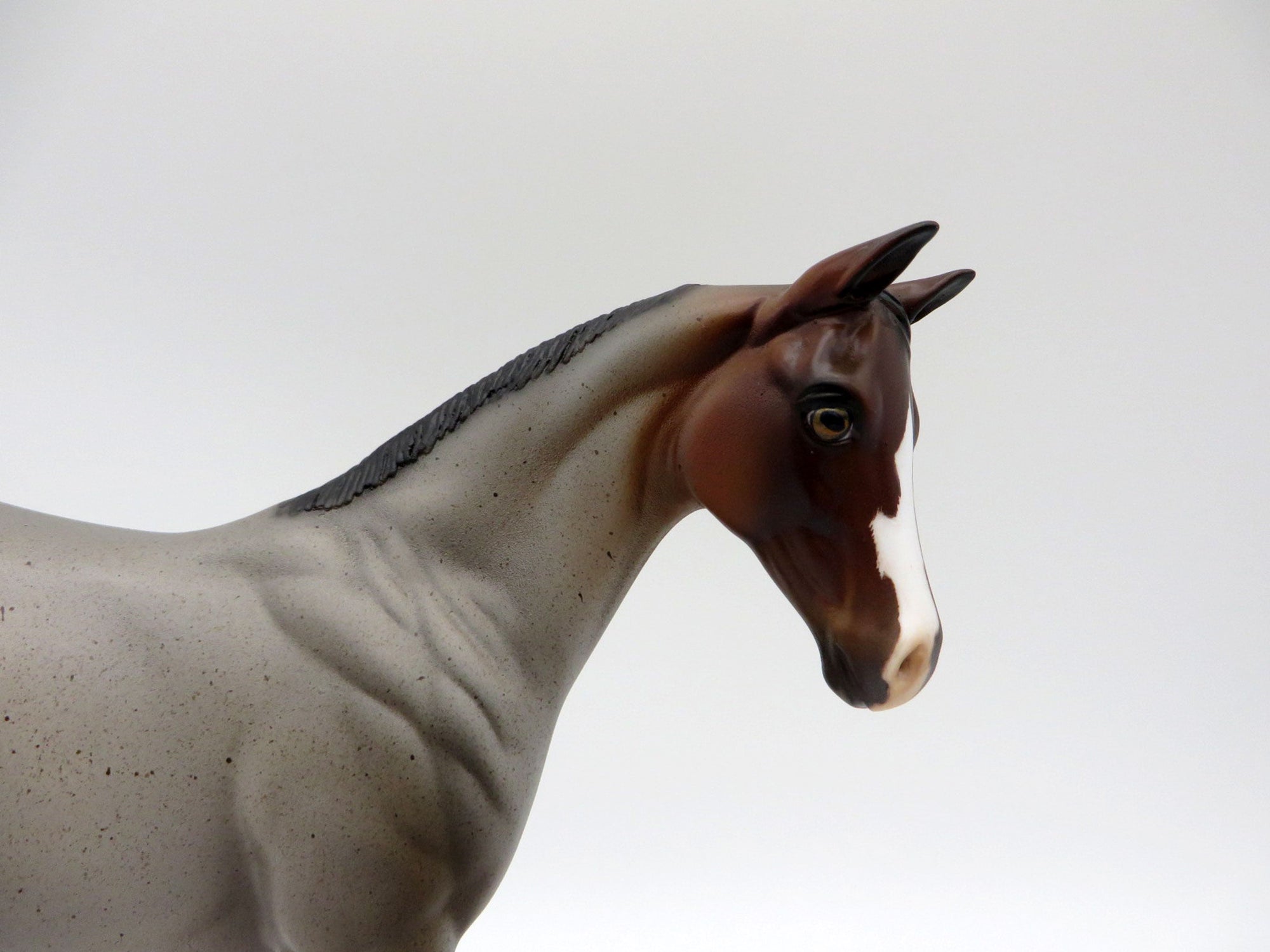 Raichu-OOAK Bay Roan Weanling Painted By Ellen Robbins 5/14/21