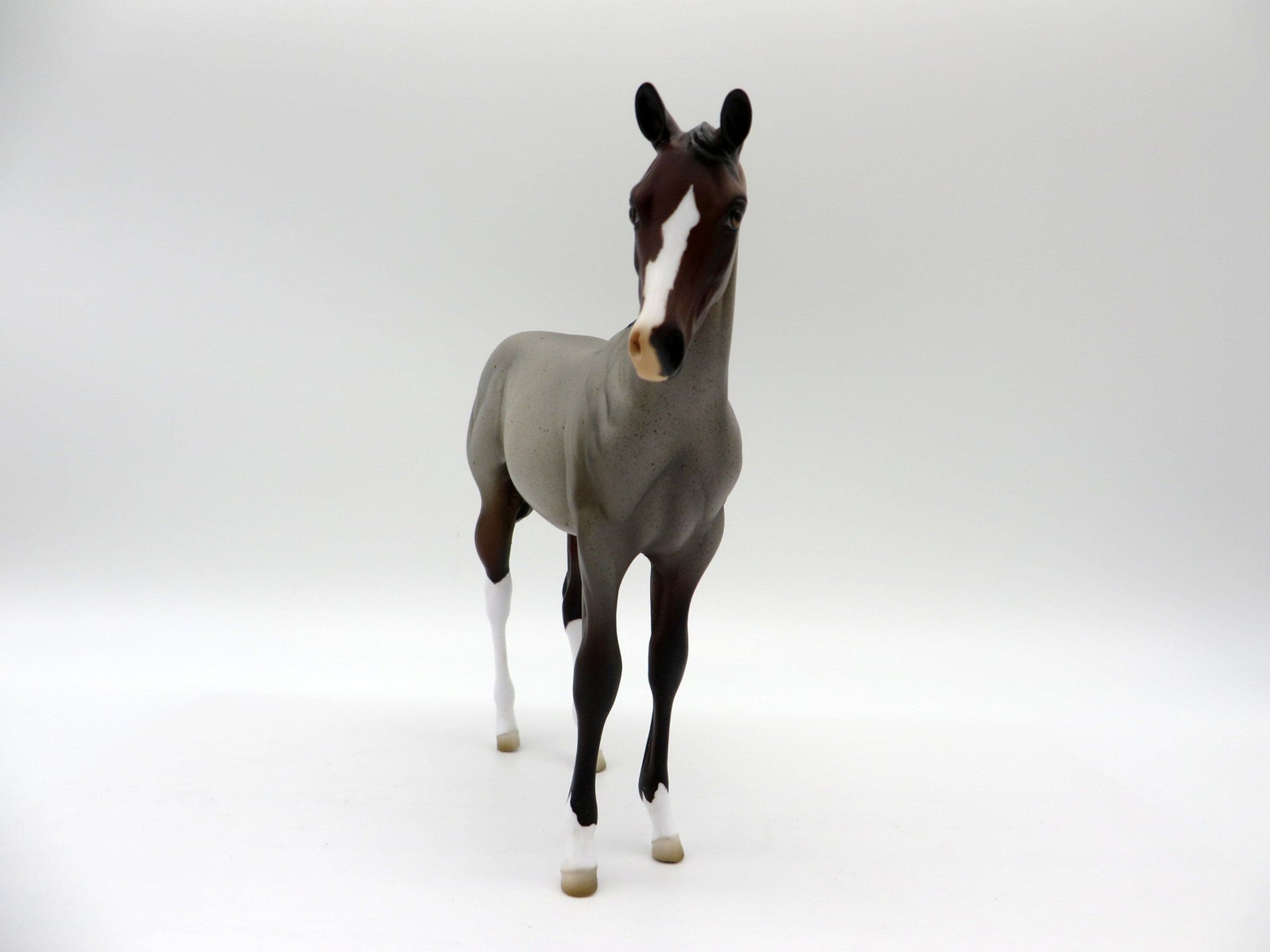 Raichu-OOAK Bay Roan Weanling Painted By Ellen Robbins 5/14/21