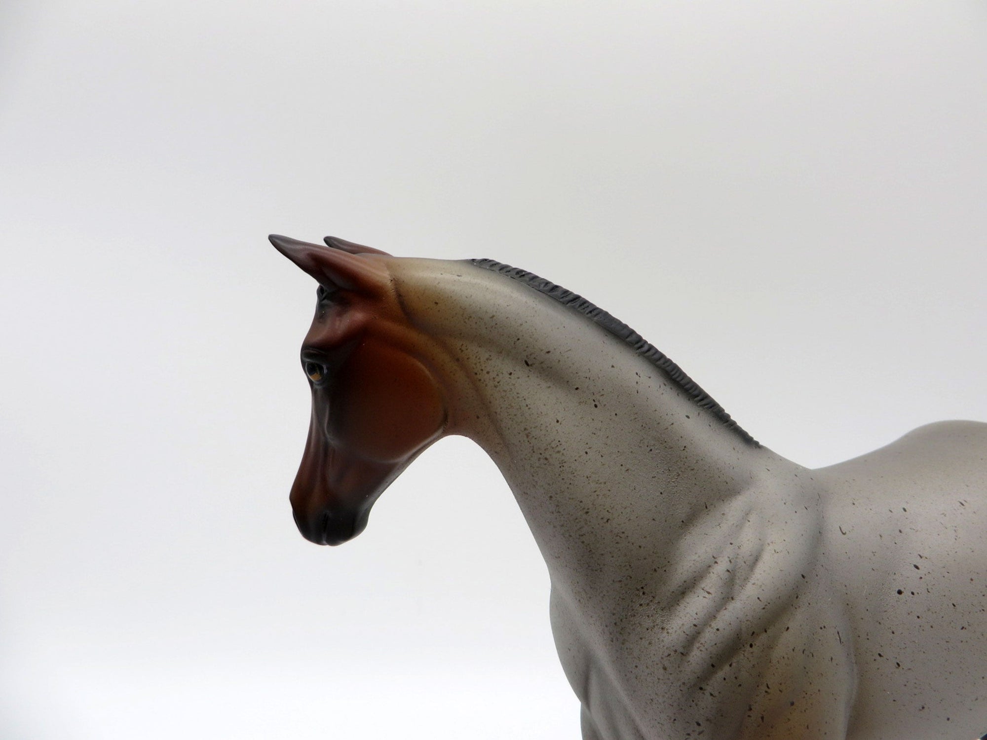 Raichu-OOAK Bay Roan Weanling Painted By Ellen Robbins 5/14/21