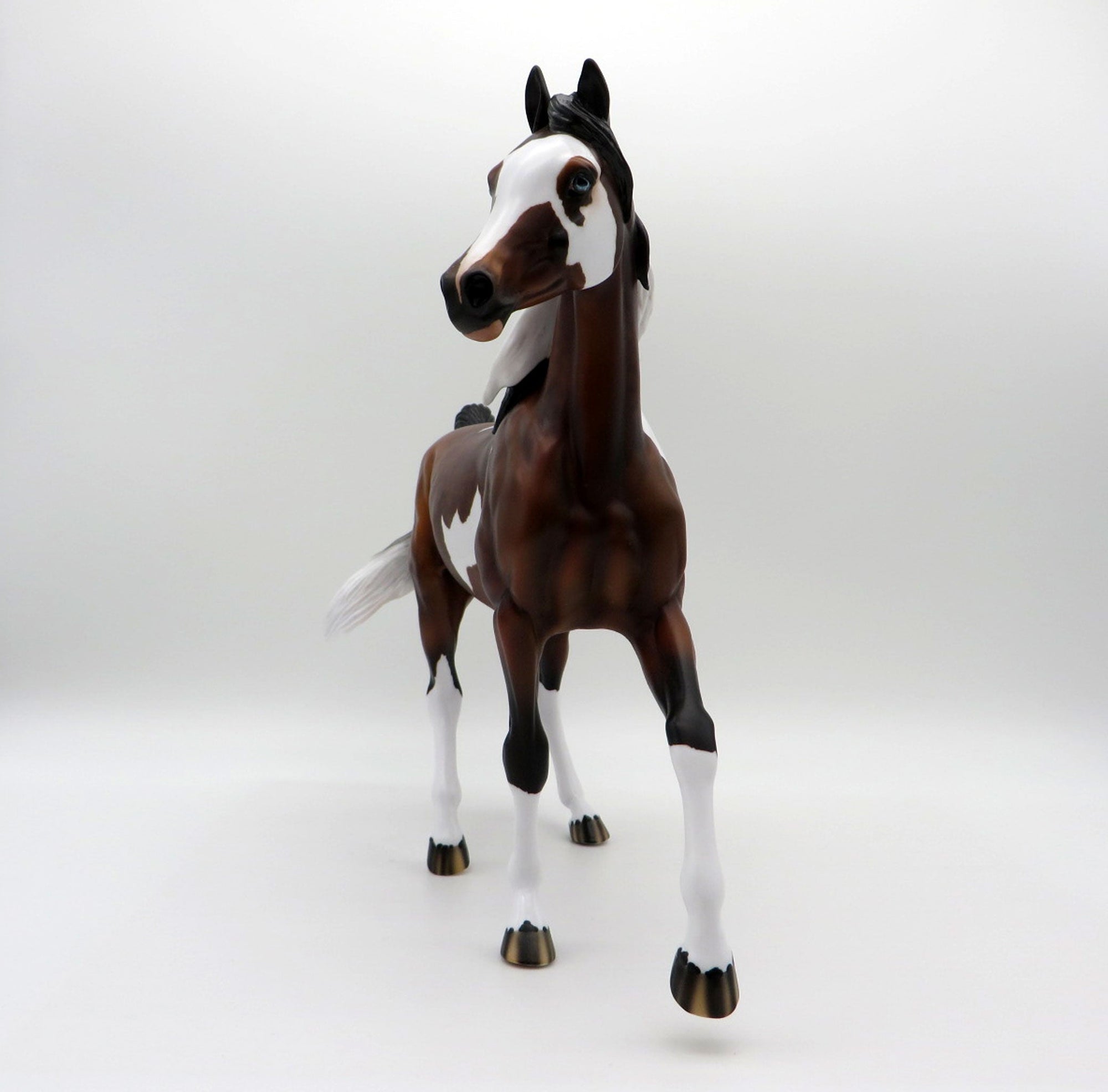 Raiden-OOAK Dapple Bay Pinto Arabian Mare SHCF 2021