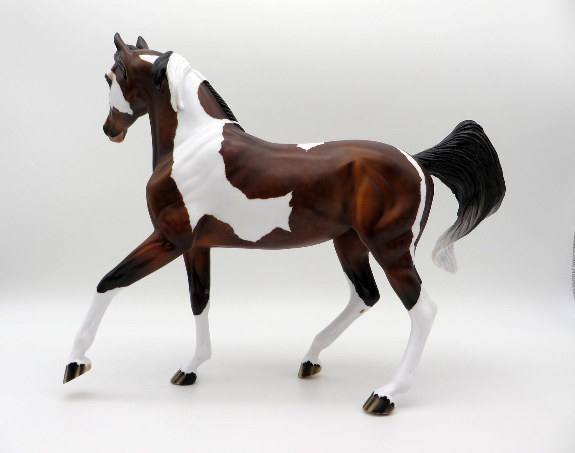 Raiden-OOAK Dapple Bay Pinto Arabian Mare SHCF 2021