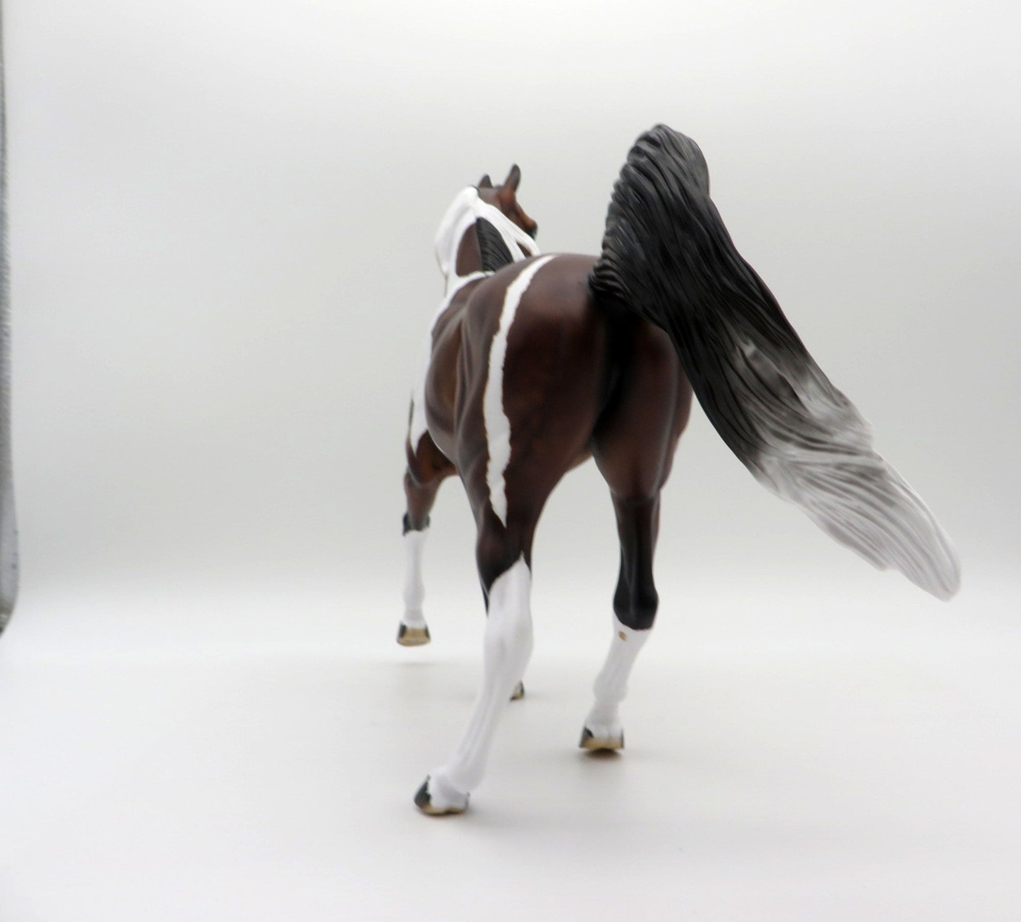 Raiden-OOAK Dapple Bay Pinto Arabian Mare SHCF 2021