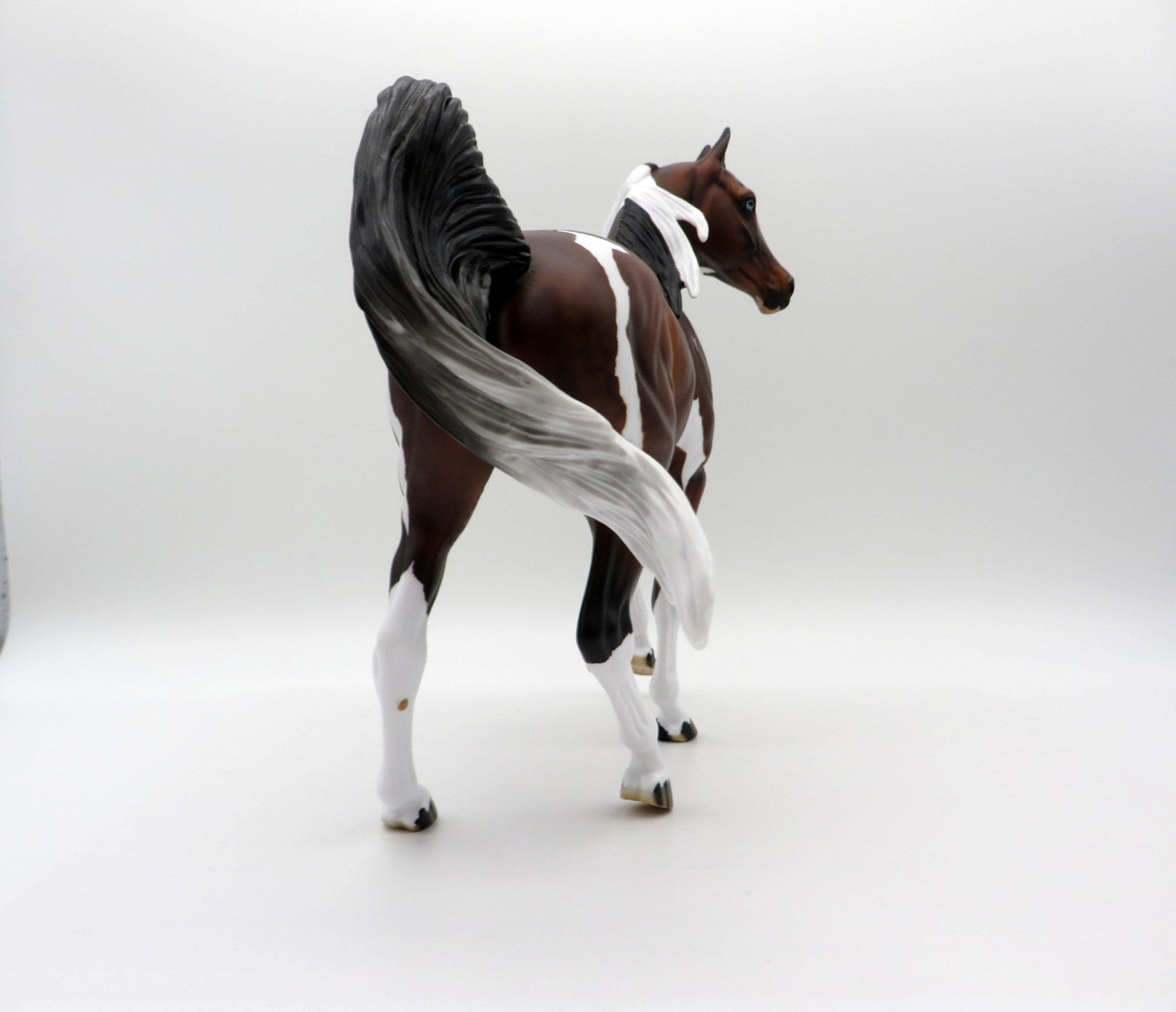 Raiden-OOAK Dapple Bay Pinto Arabian Mare SHCF 2021