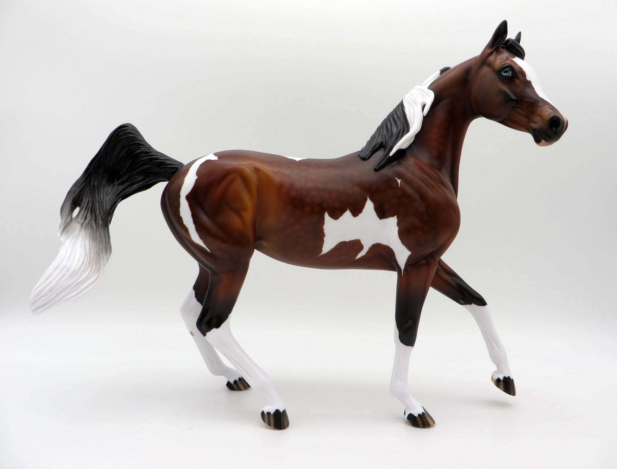 Raiden-OOAK Dapple Bay Pinto Arabian Mare SHCF 2021