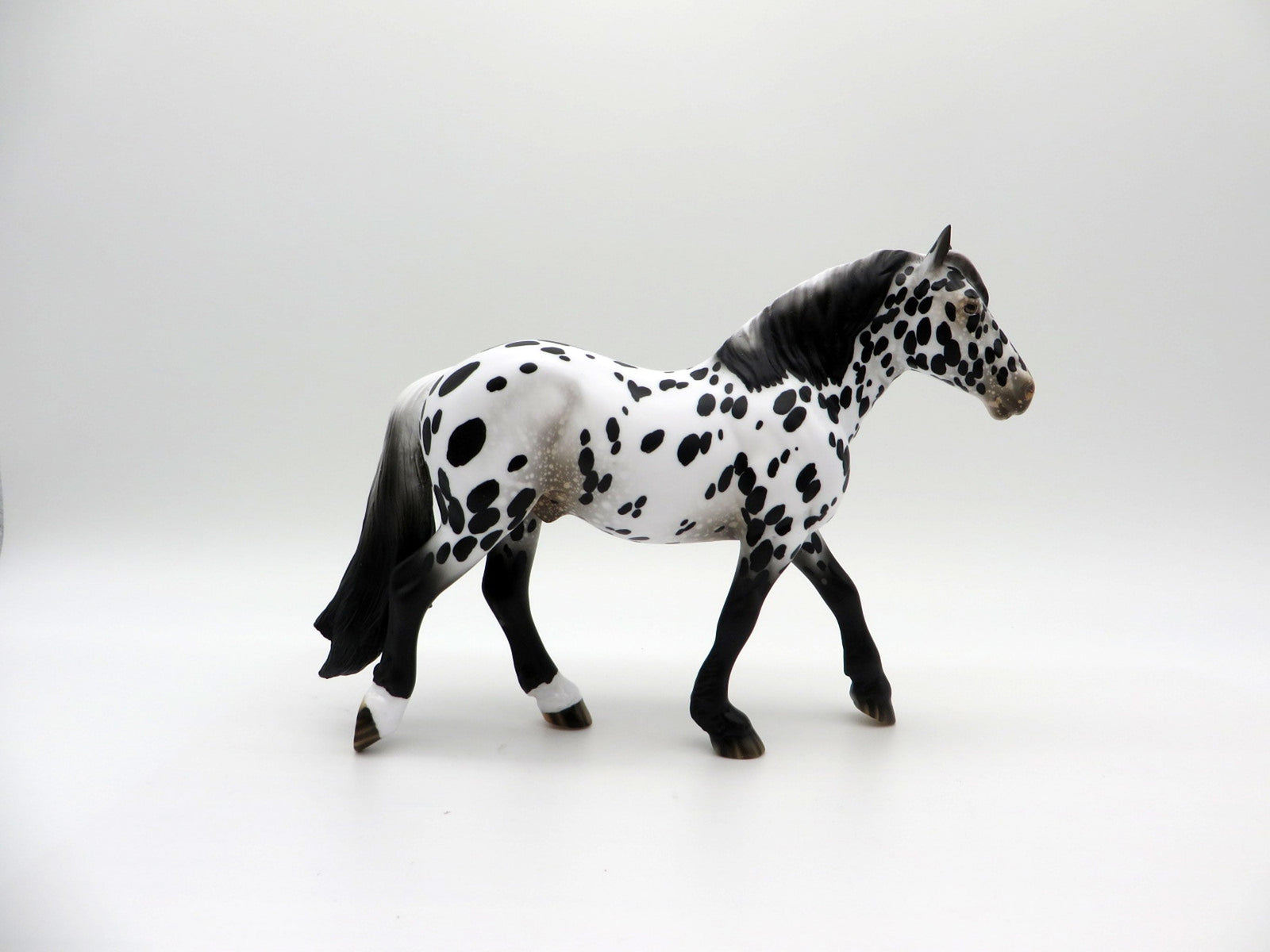 Rain Man-LE-15 Appaloosa Pebbles Trotting Drafter SHCF 2021
