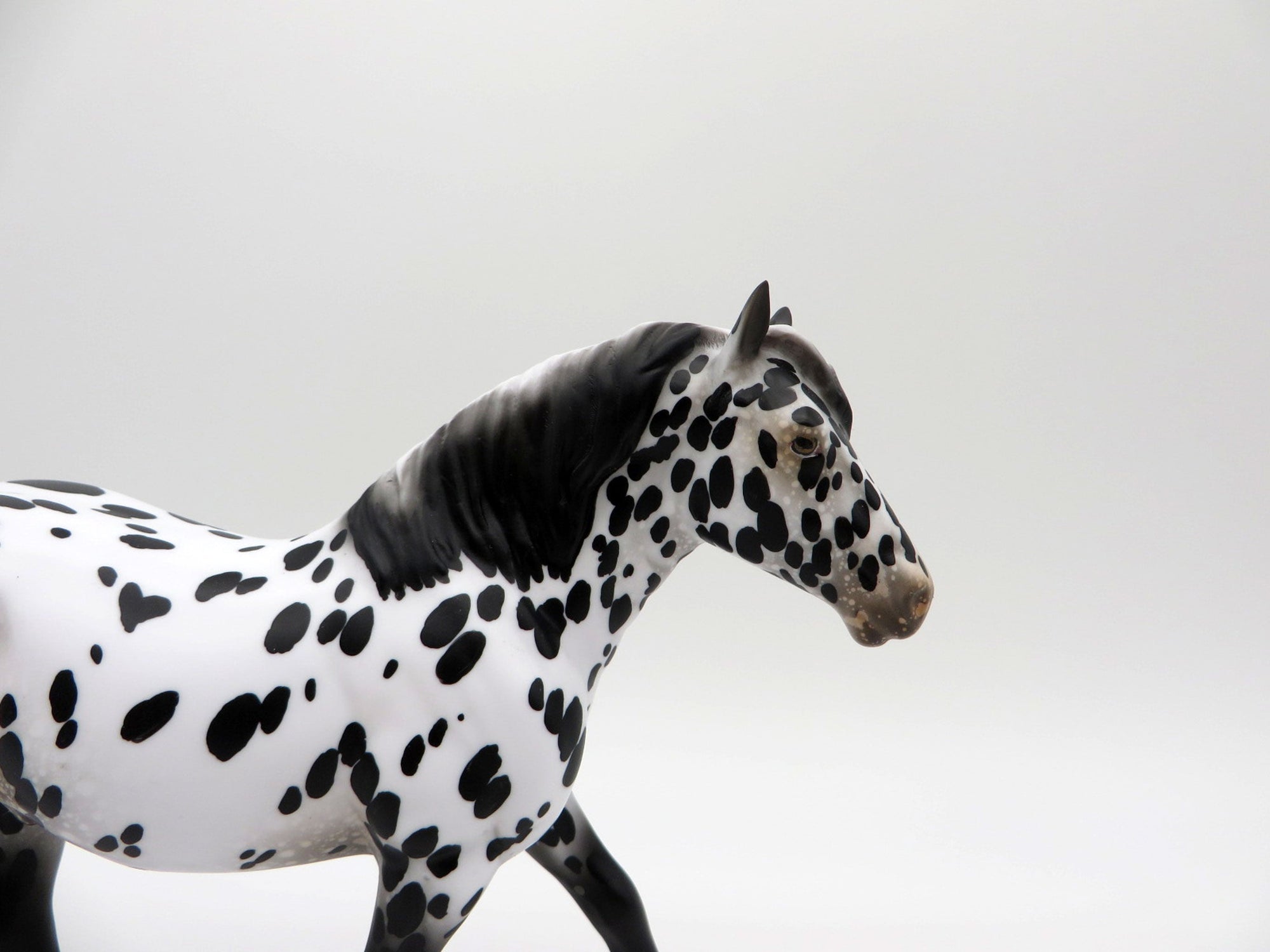 Rain Man-LE-15 Appaloosa Pebbles Trotting Drafter SHCF 2021