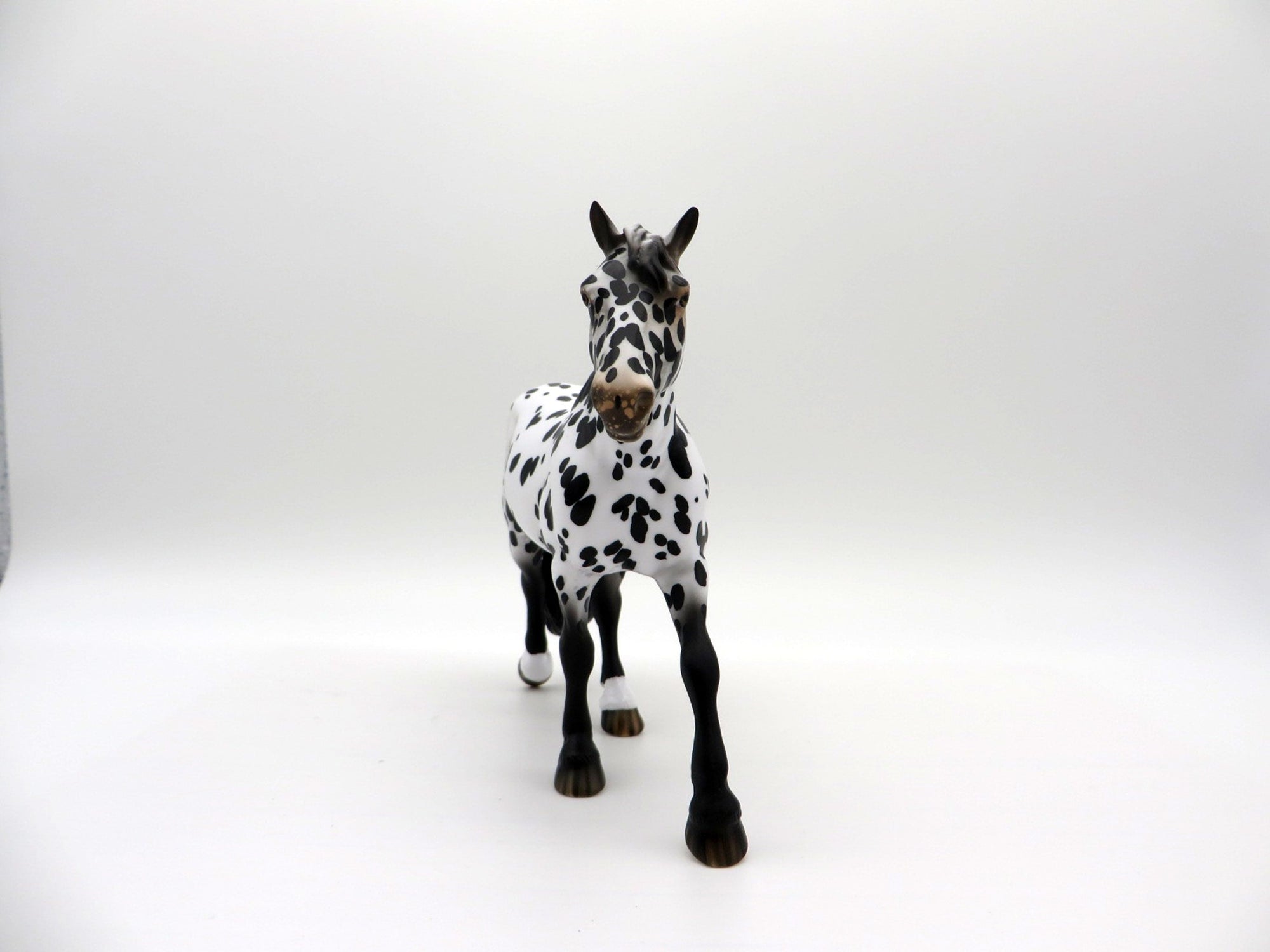 Rain Man-LE-15 Appaloosa Pebbles Trotting Drafter SHCF 2021