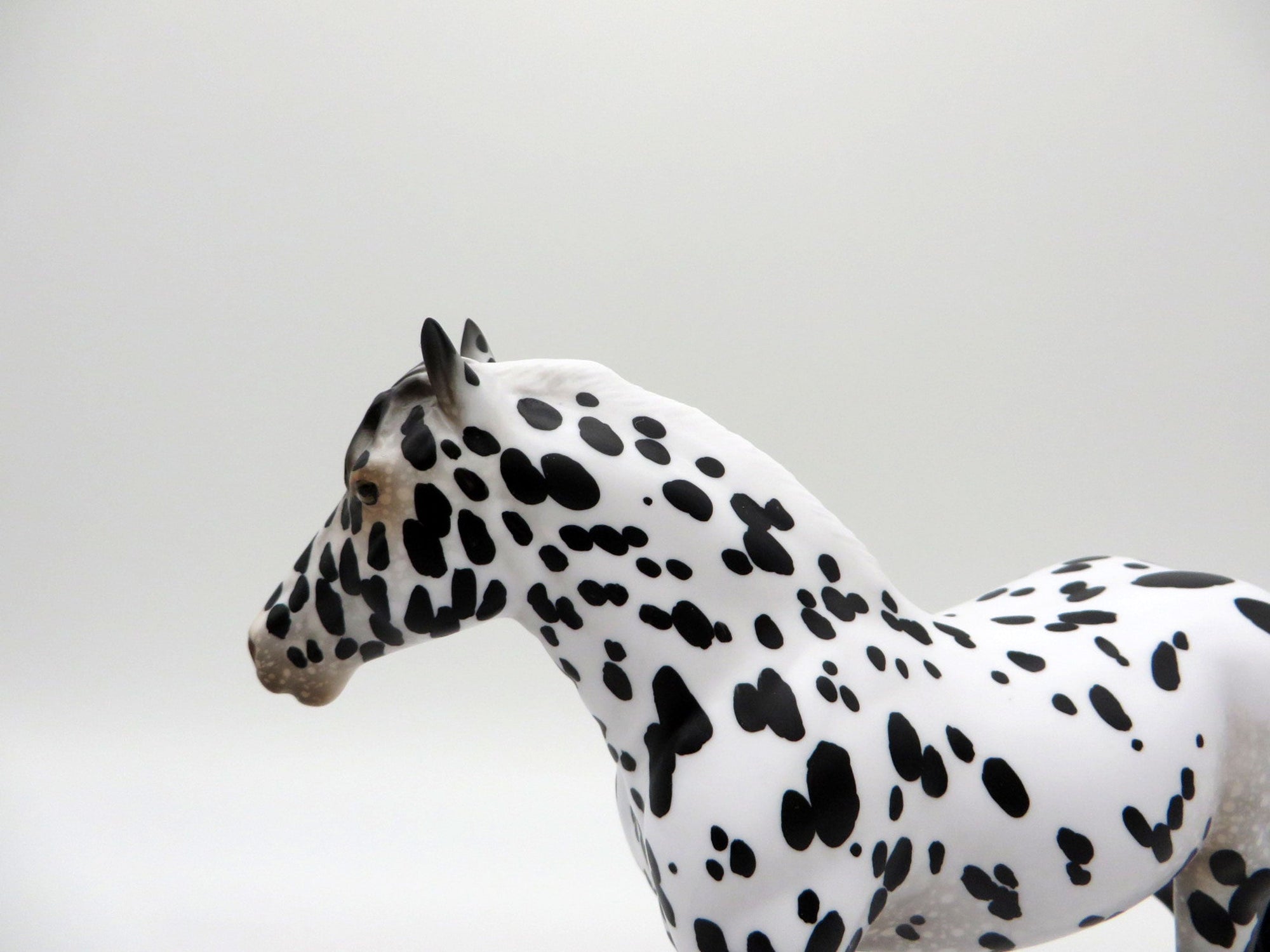 Rain Man-LE-15 Appaloosa Pebbles Trotting Drafter SHCF 2021