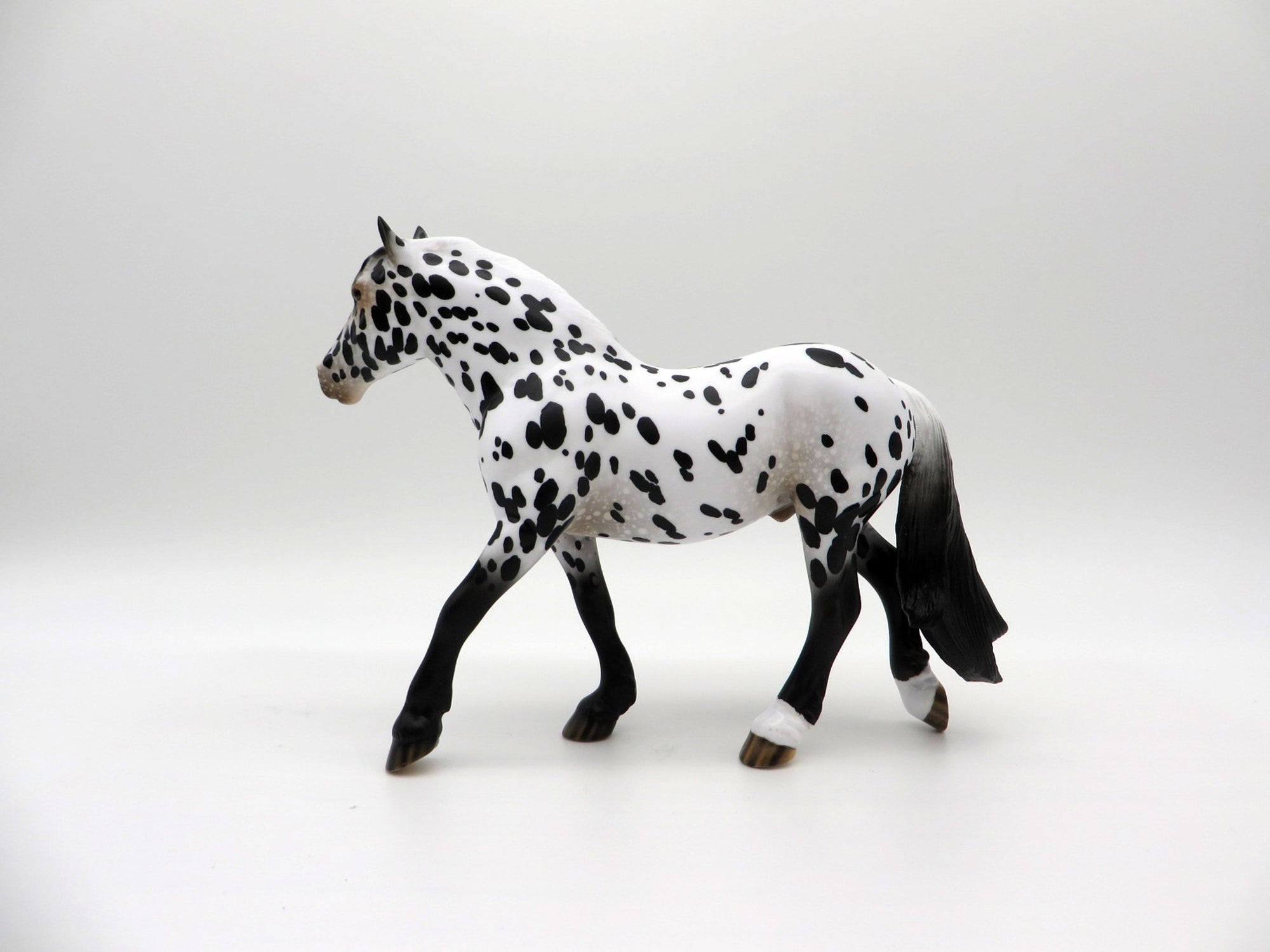 Rain Man-LE-15 Appaloosa Pebbles Trotting Drafter SHCF 2021