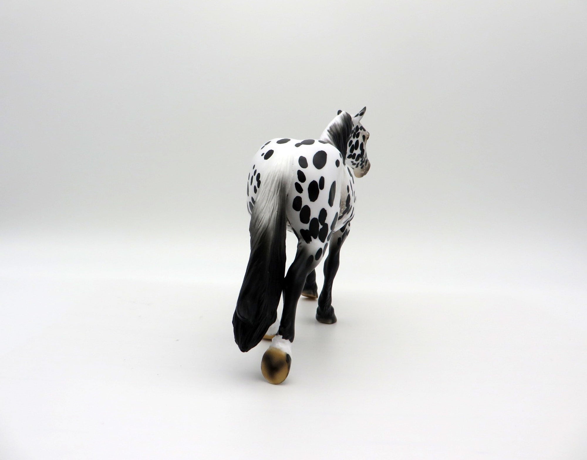 Rain Man-LE-15 Appaloosa Pebbles Trotting Drafter SHCF 2021