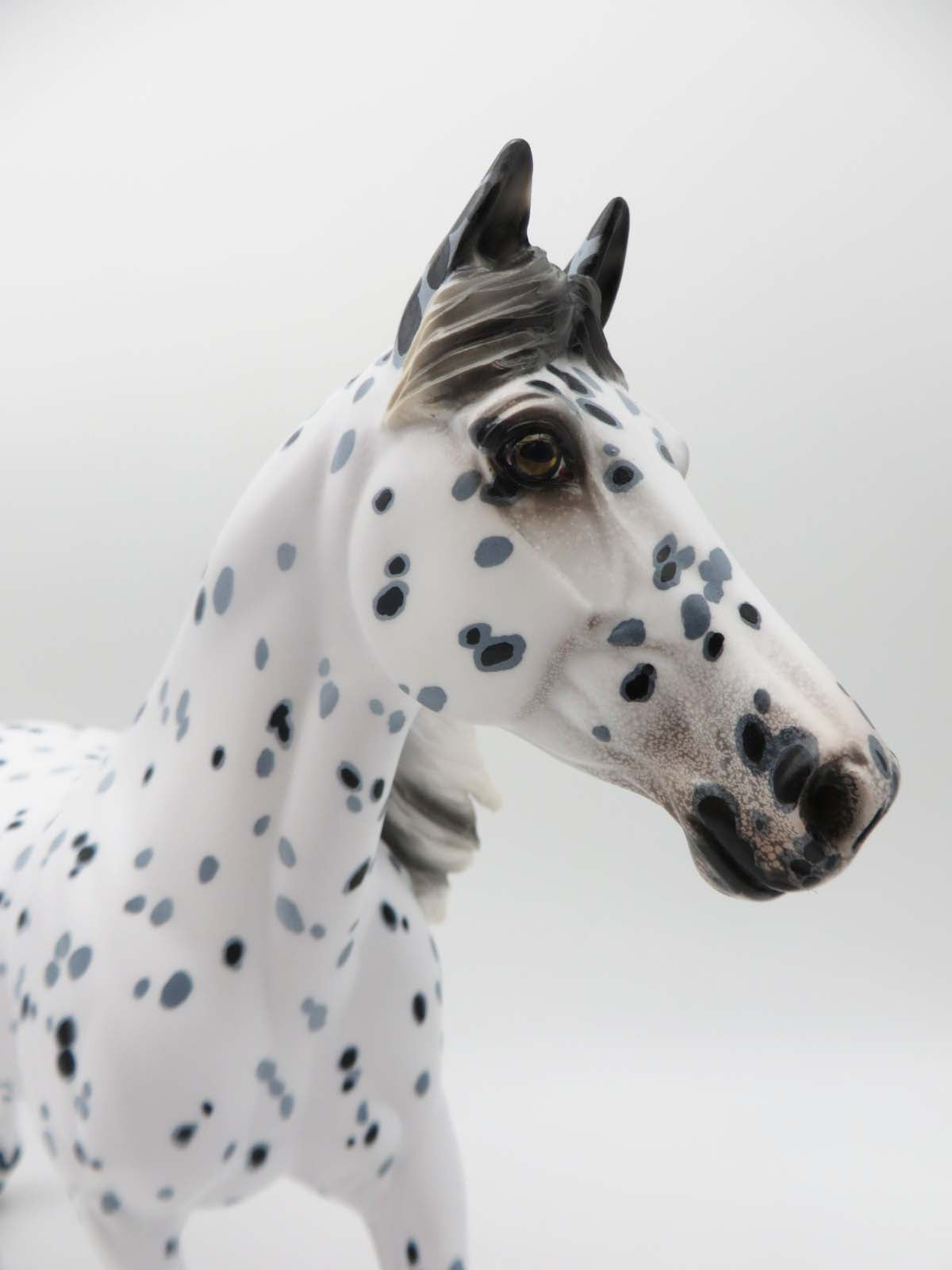 Rain Dancer - OOAK - Black Leopard Appaloosa Going Grey Palouse by Ellen Robbins - Best Offers 2/27/23