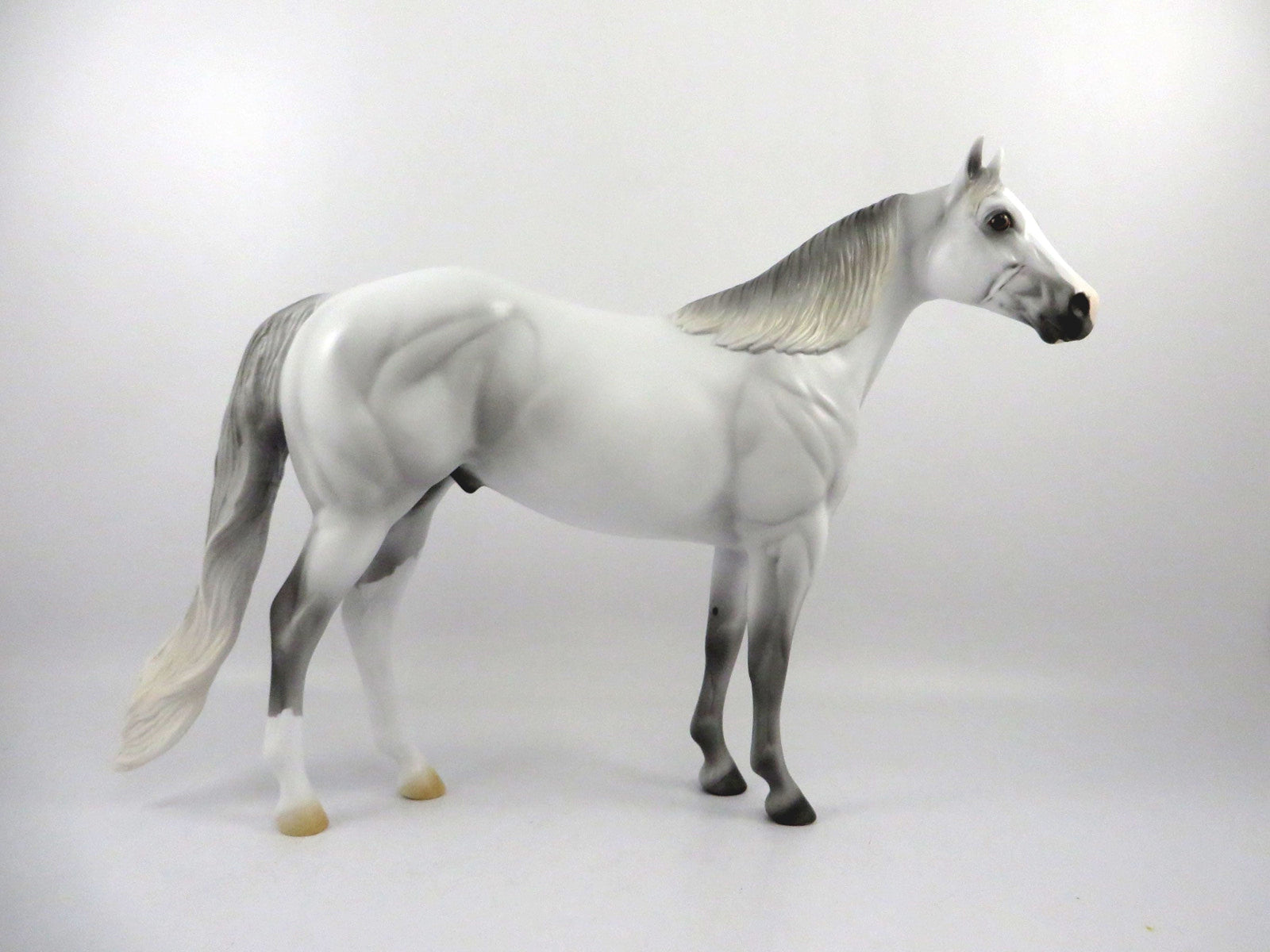 Rainbows End-OOAK Dapple Light Grey ISH 2/26/21