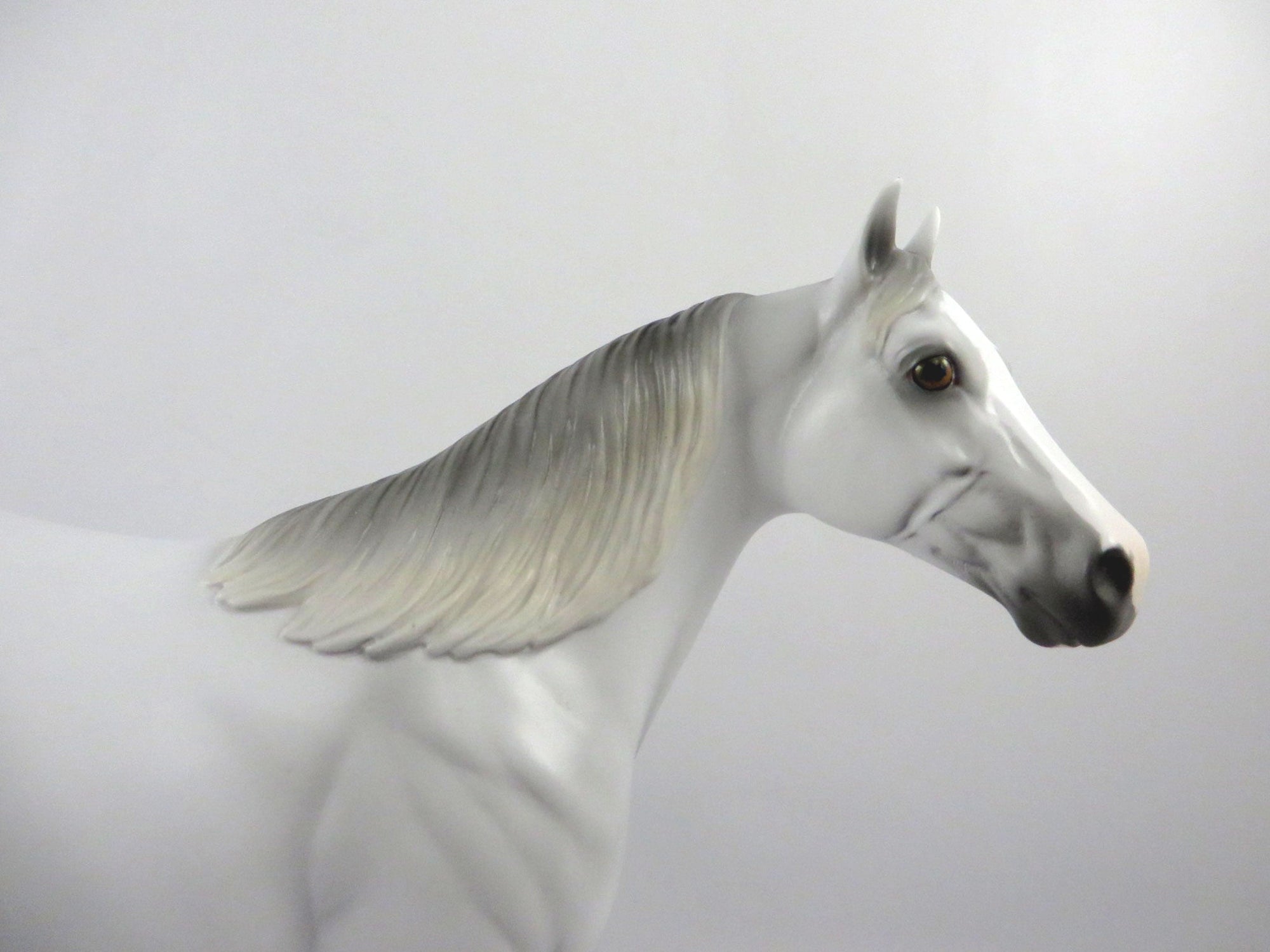 Rainbows End-OOAK Dapple Light Grey ISH 2/26/21