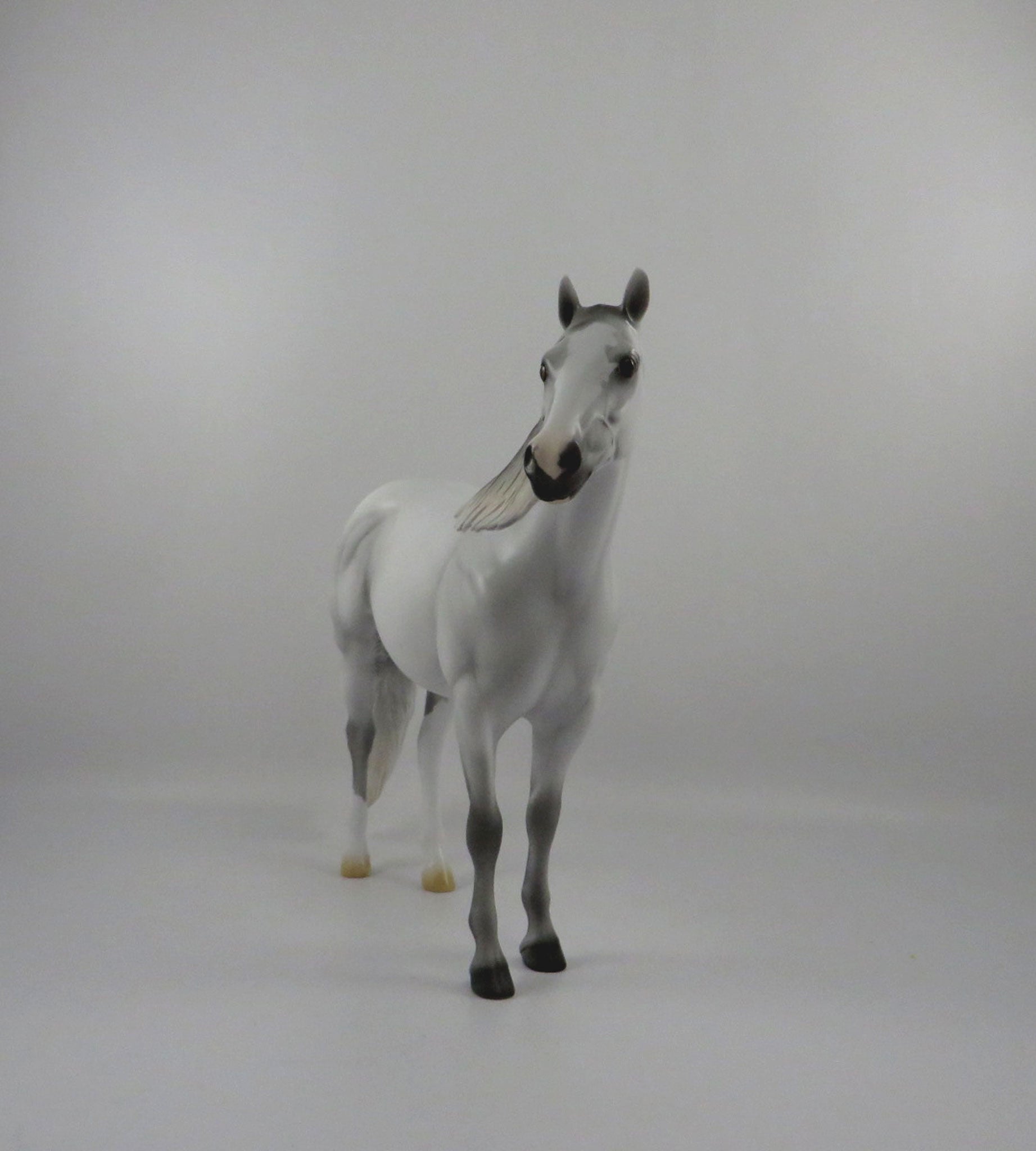 Rainbows End-OOAK Dapple Light Grey ISH 2/26/21