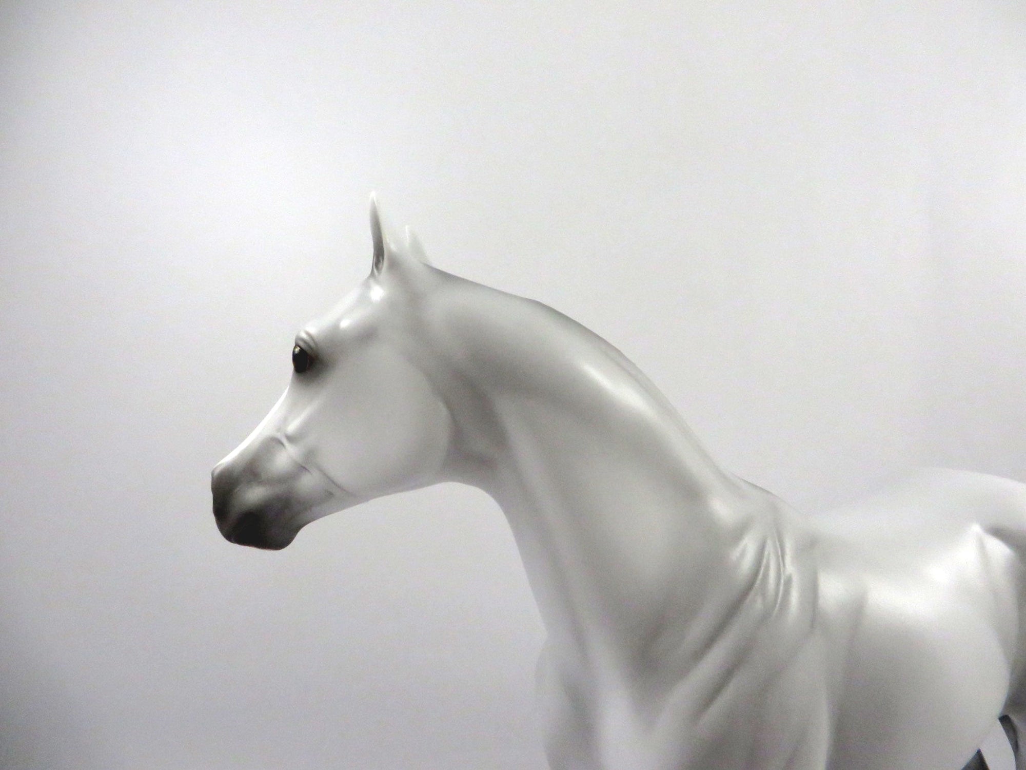 Rainbows End-OOAK Dapple Light Grey ISH 2/26/21