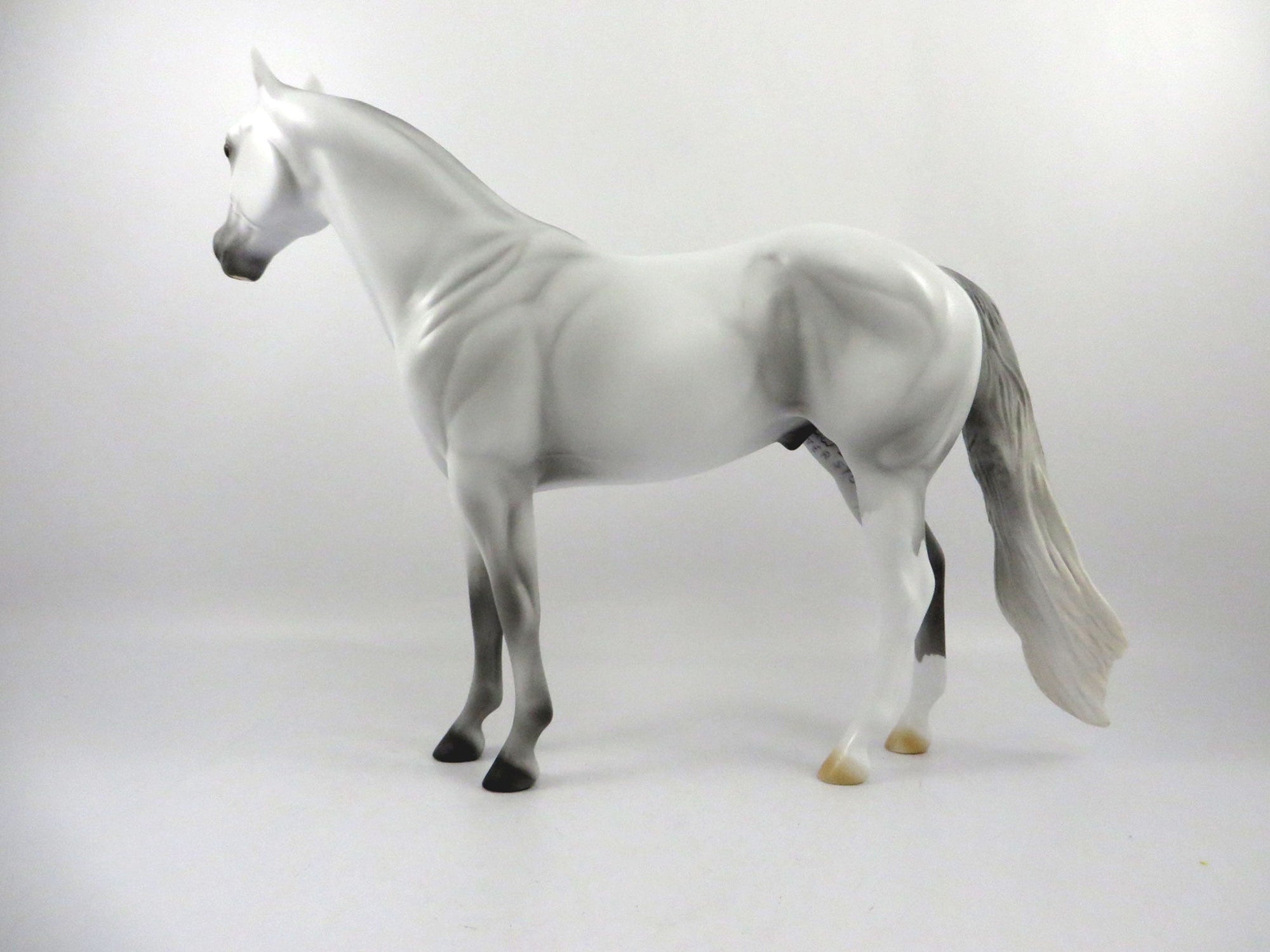 Rainbows End-OOAK Dapple Light Grey ISH 2/26/21